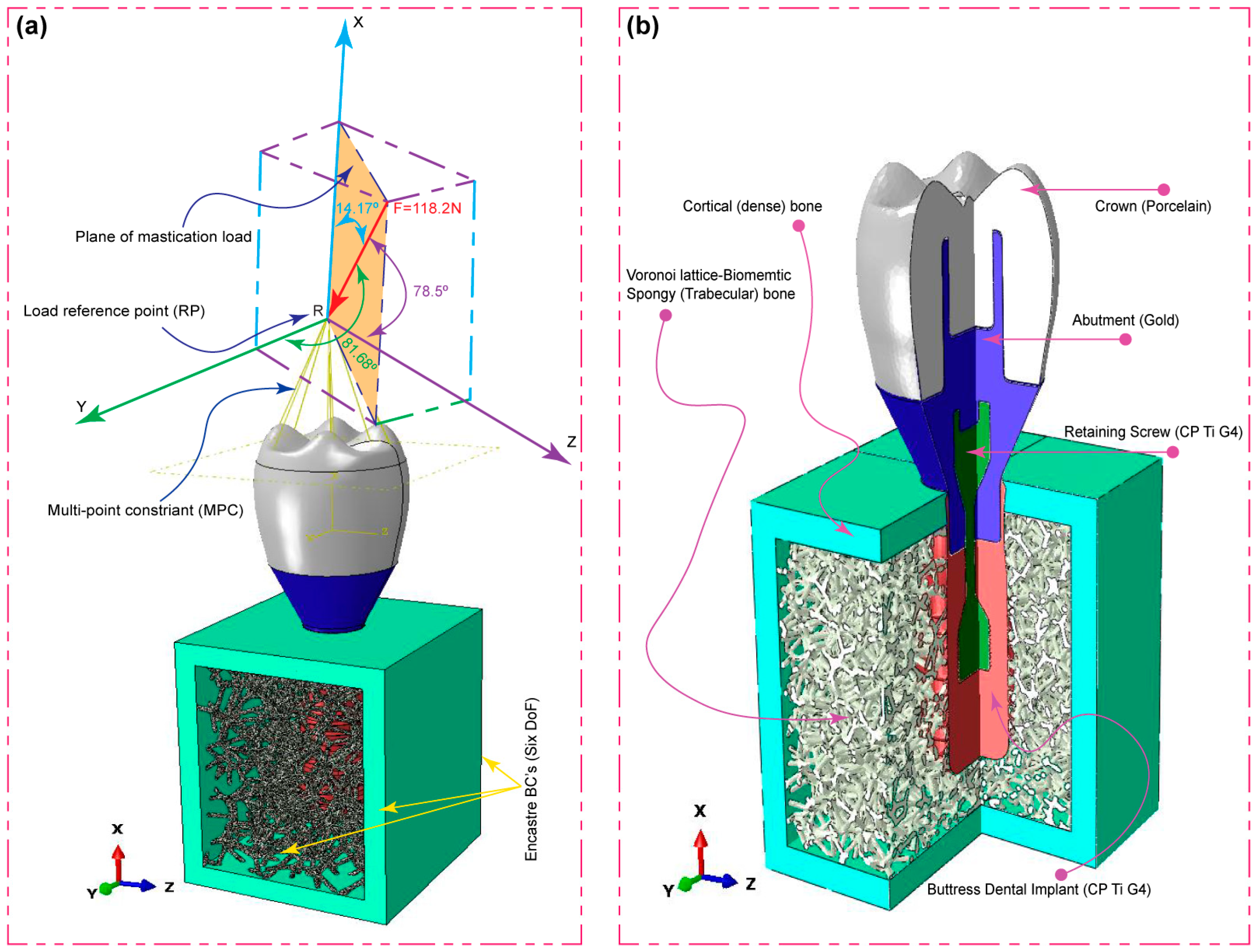 Jfb 15 00094 g004 Jfb 15 00094 g004