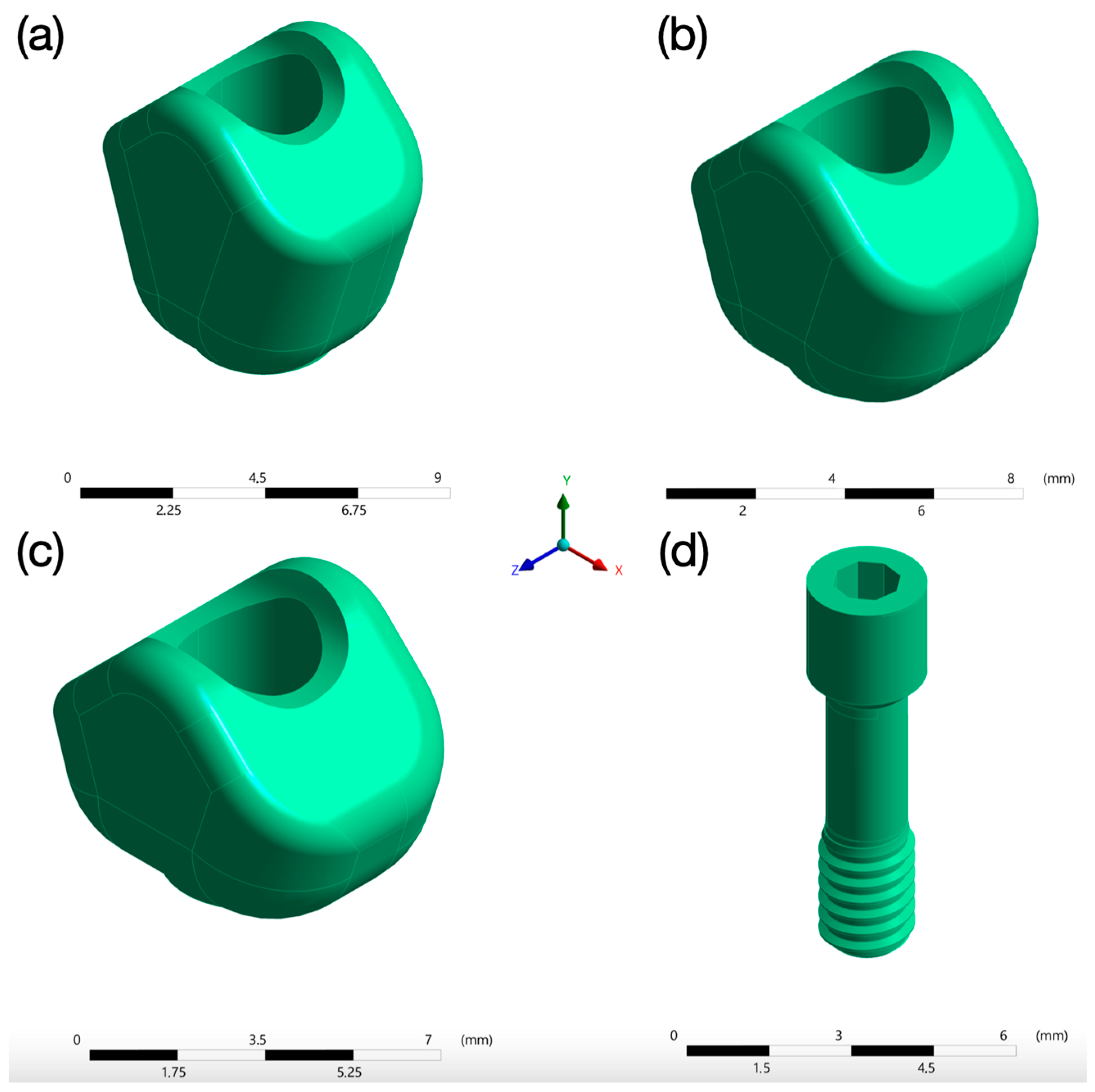 Jfb 15 00101 g004 Jfb 15 00101 g004