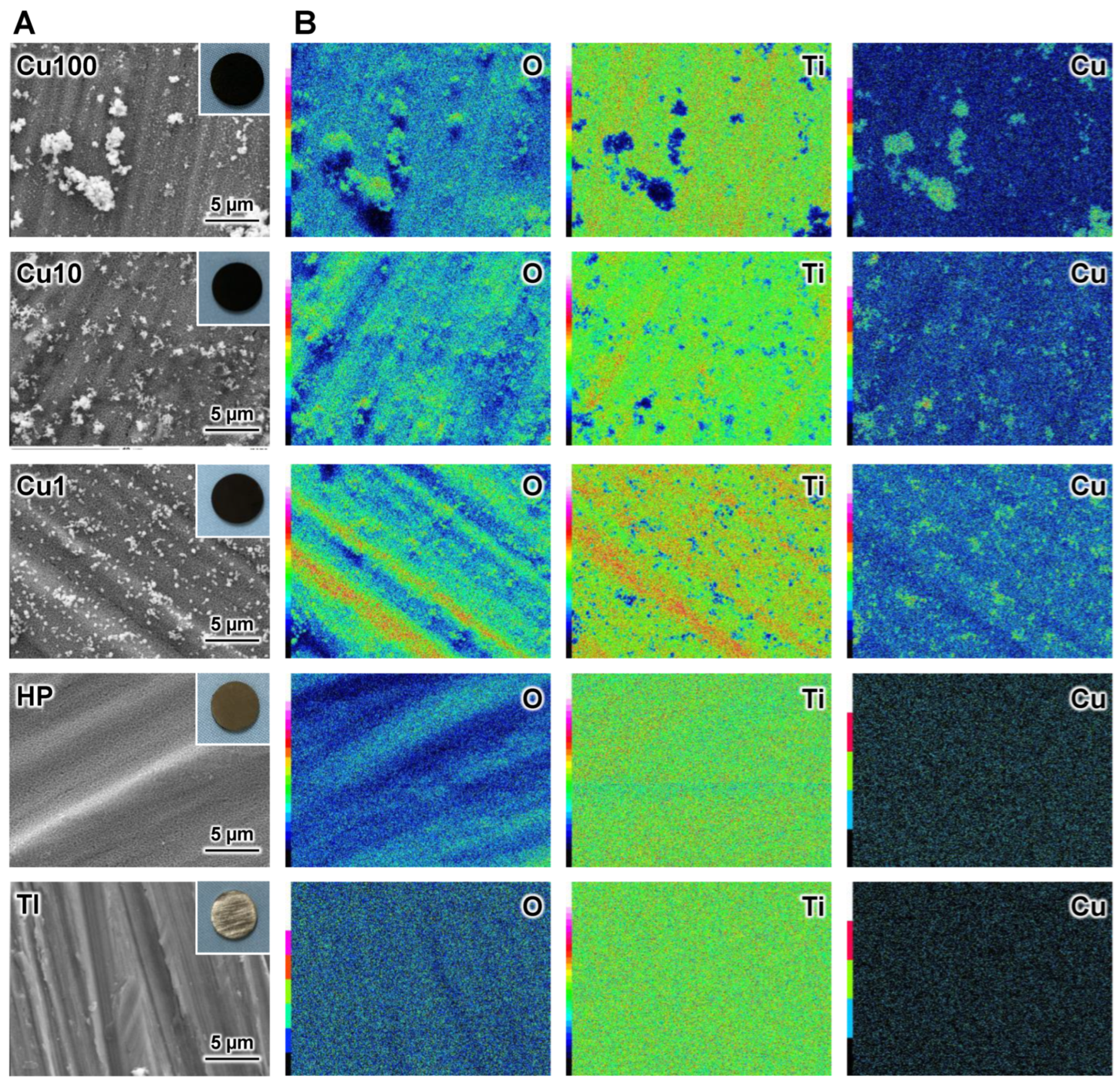 Jfb 15 00114 g003 Jfb 15 00114 g003