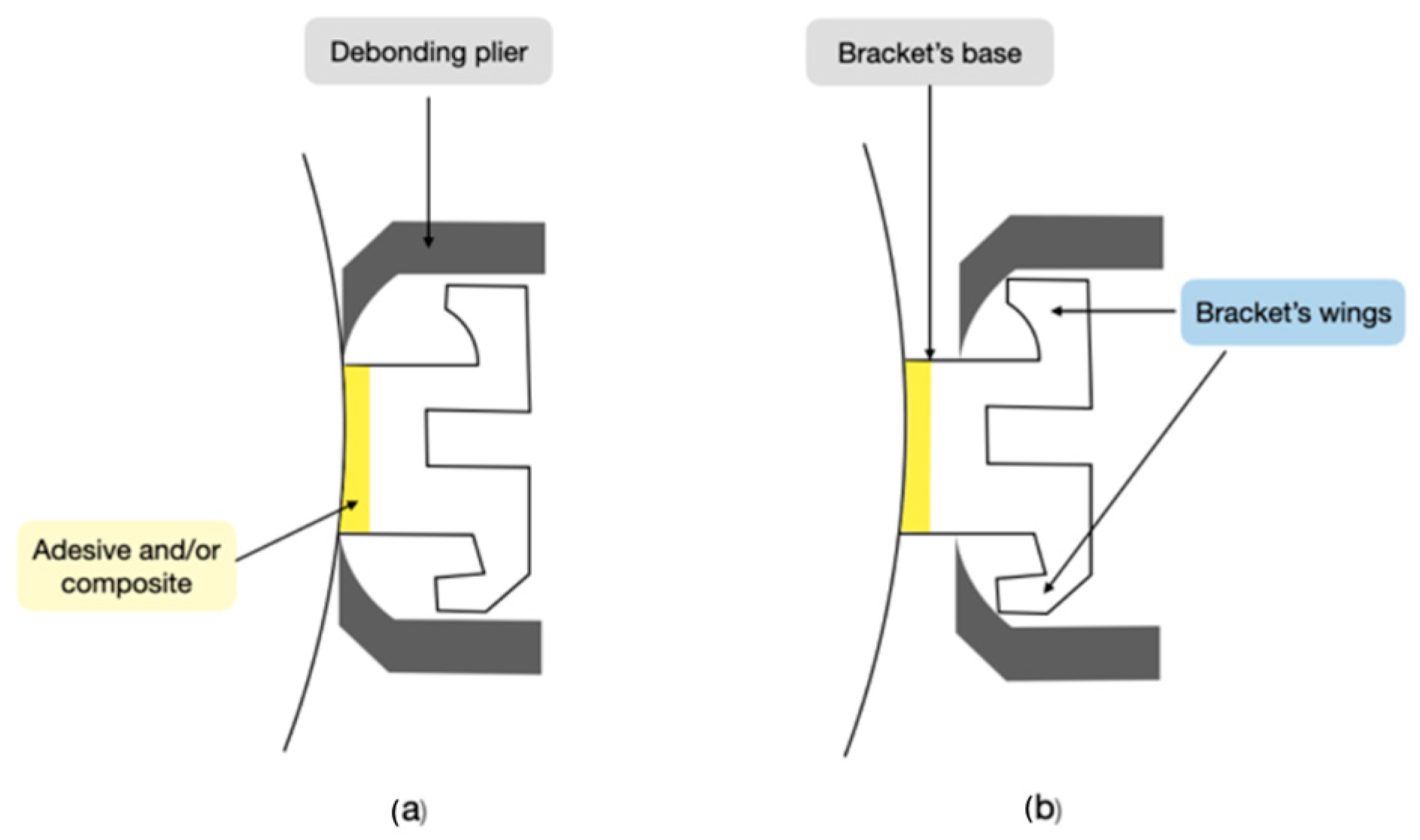 Jfb 15 00123 g001 Jfb 15 00123 g001