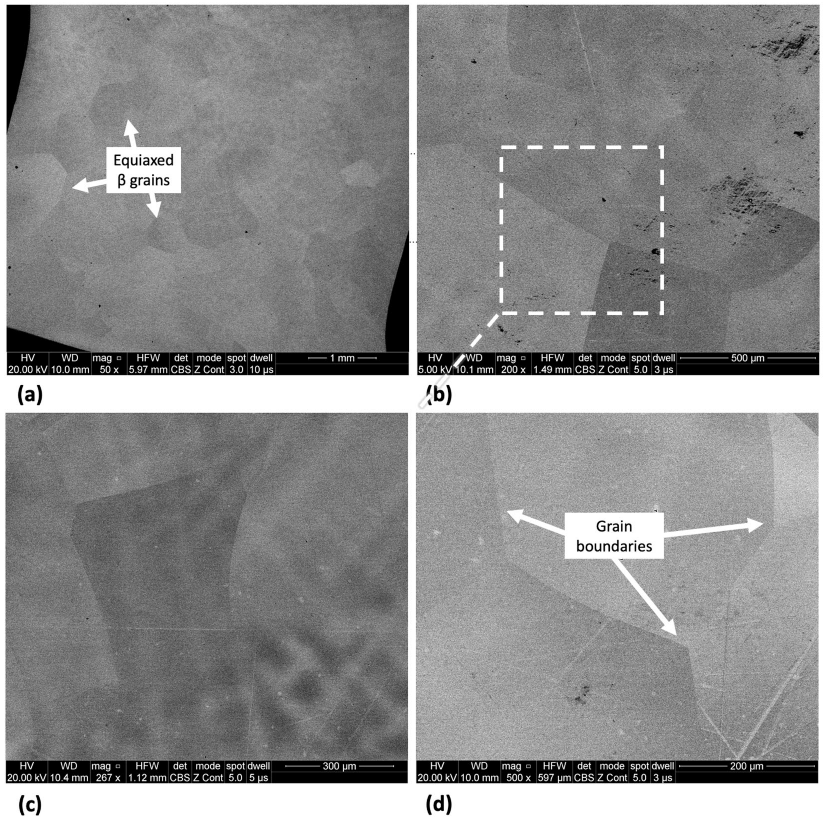 Jfb 15 00167 g002 Jfb 15 00167 g002