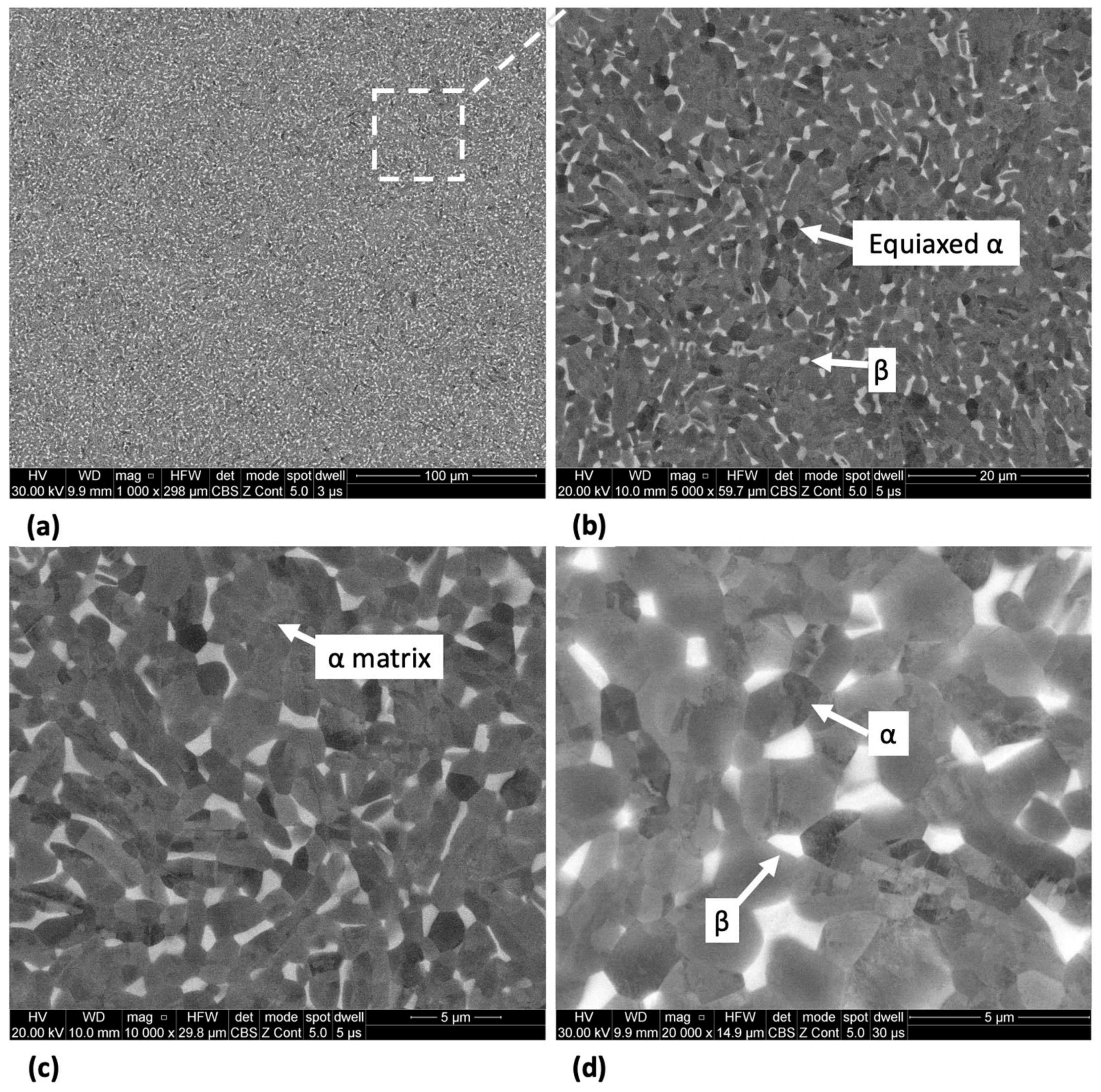 Jfb 15 00167 g004 Jfb 15 00167 g004