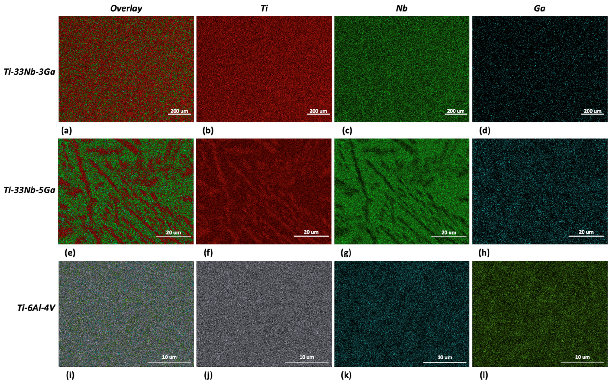 Jfb 15 00167 g005 Jfb 15 00167 g005