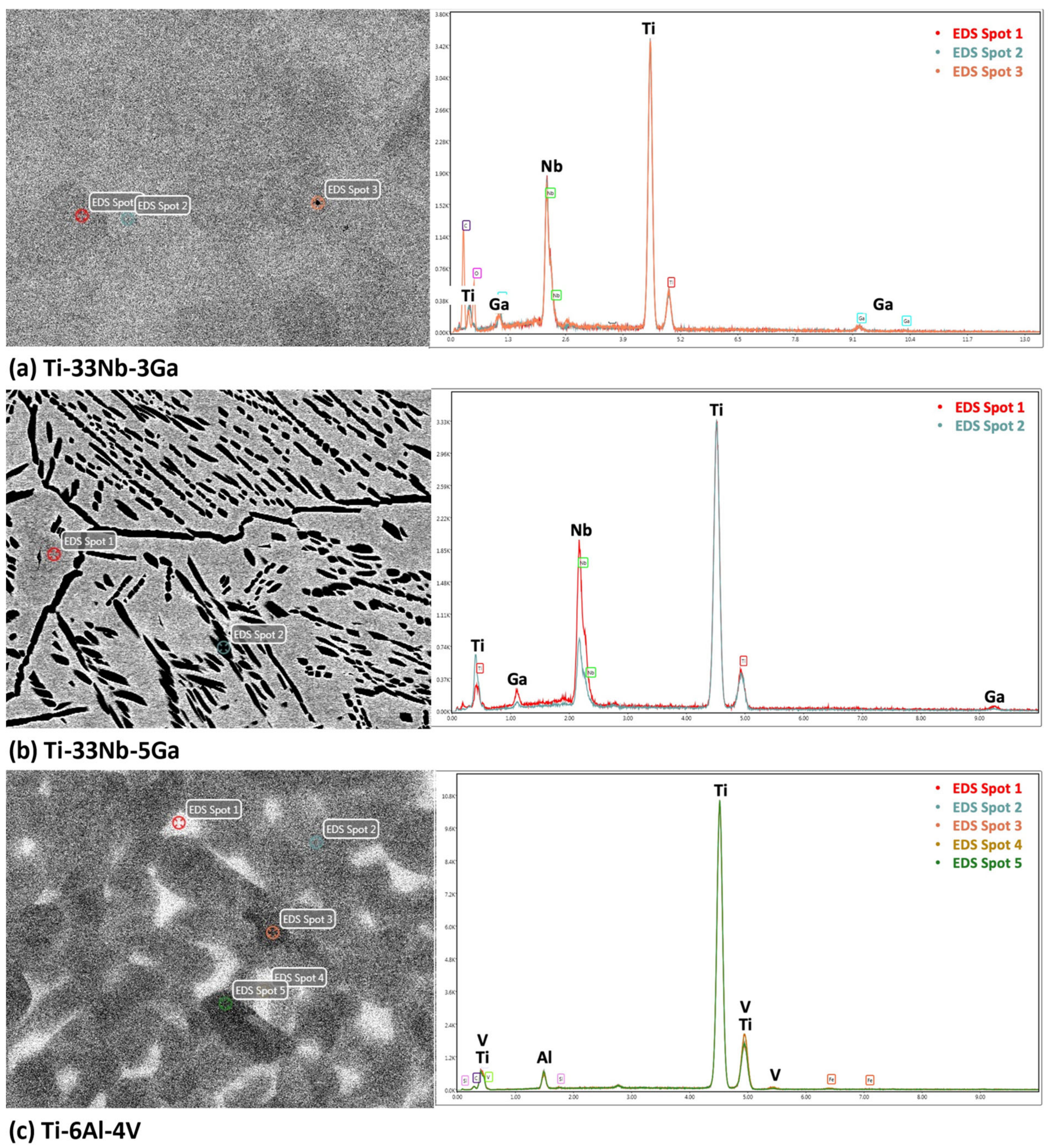 Jfb 15 00167 g006 Jfb 15 00167 g006