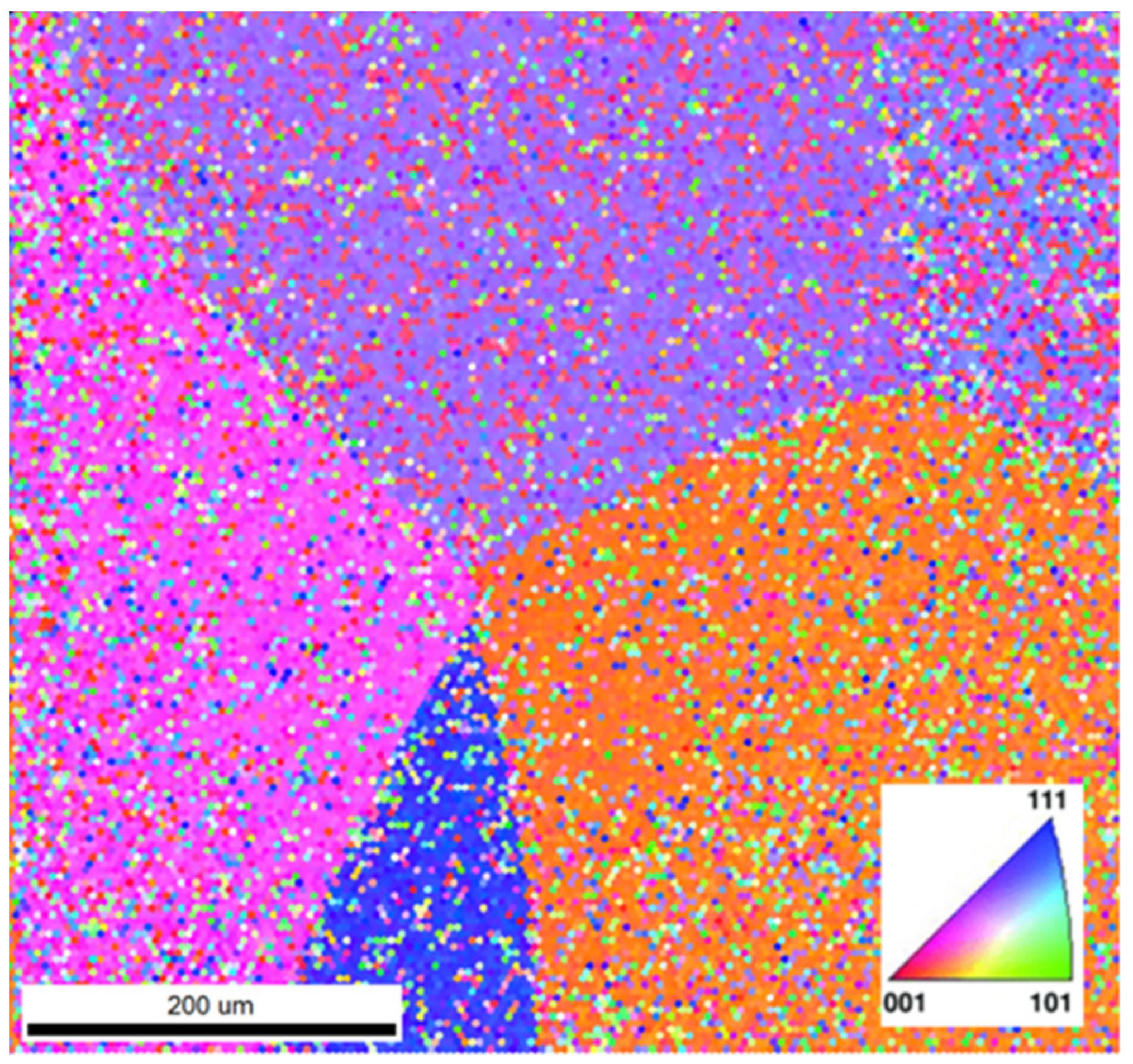 Jfb 15 00167 g007 Jfb 15 00167 g007