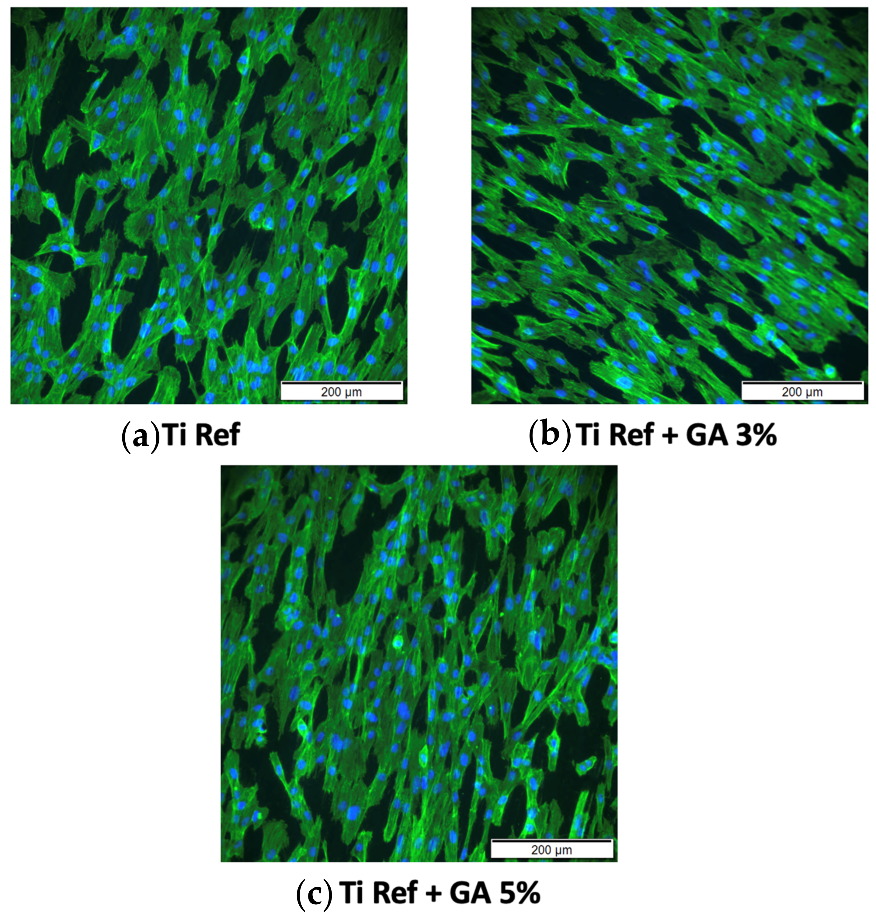 Jfb 15 00167 g014 Jfb 15 00167 g014