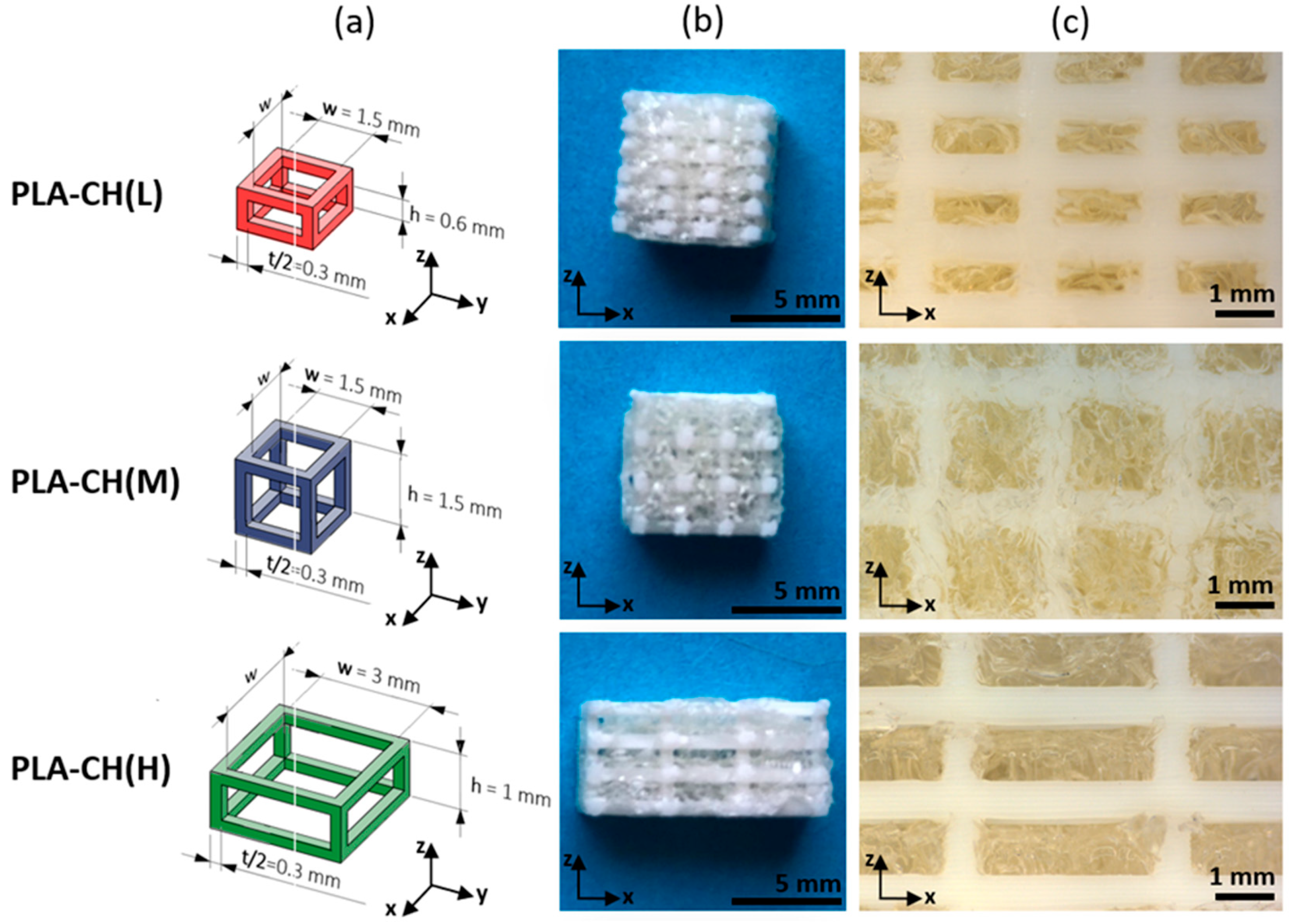 Jfb 15 00217 g001 Jfb 15 00217 g001