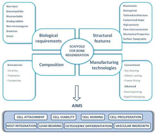 Functional Scaffolds for Bone Tissue Regeneration: A