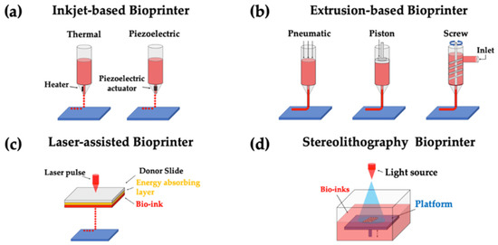 Functional Scaffolds for Bone Tissue Regeneration: A