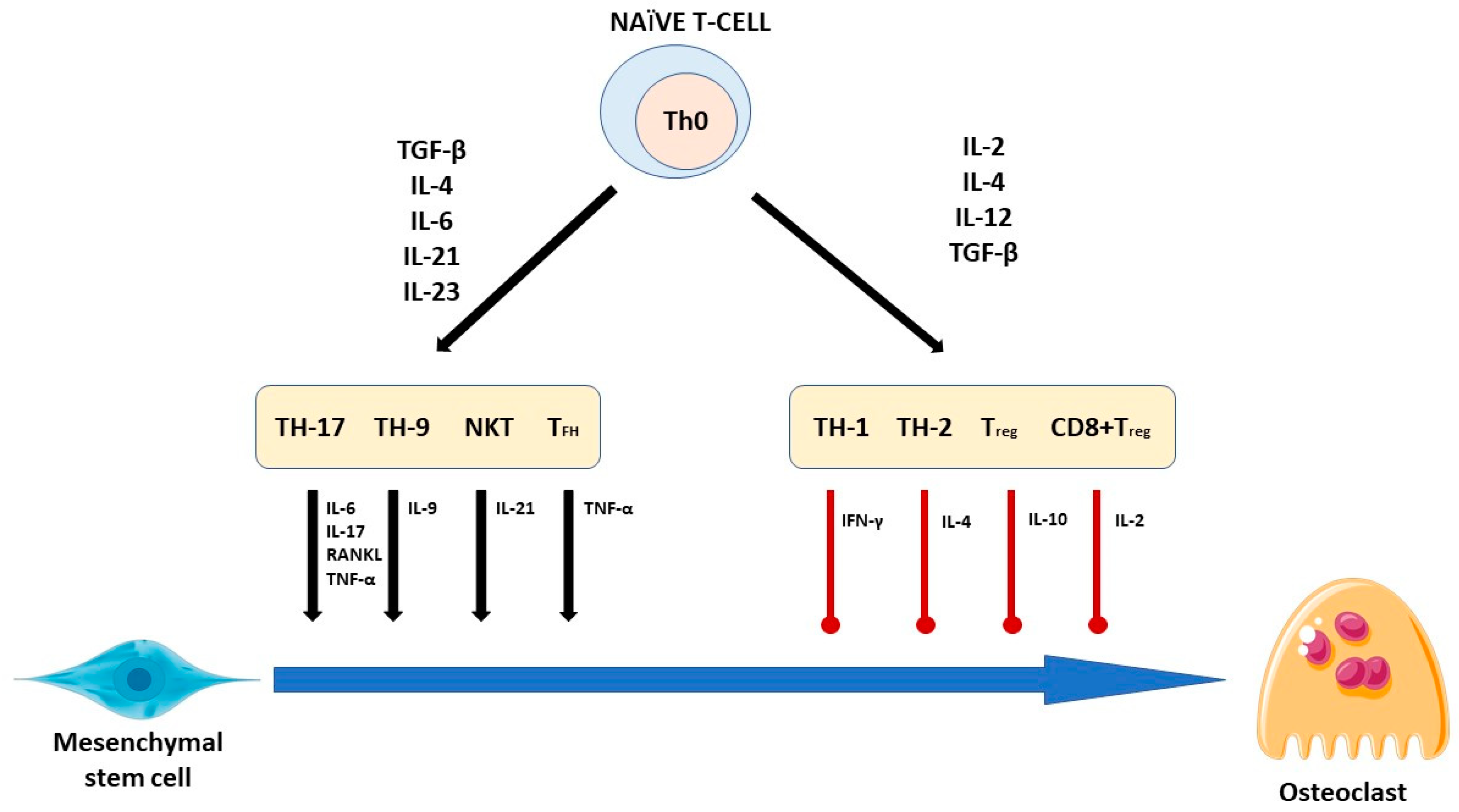 Jfb 15 00296 g003 Jfb 15 00296 g003