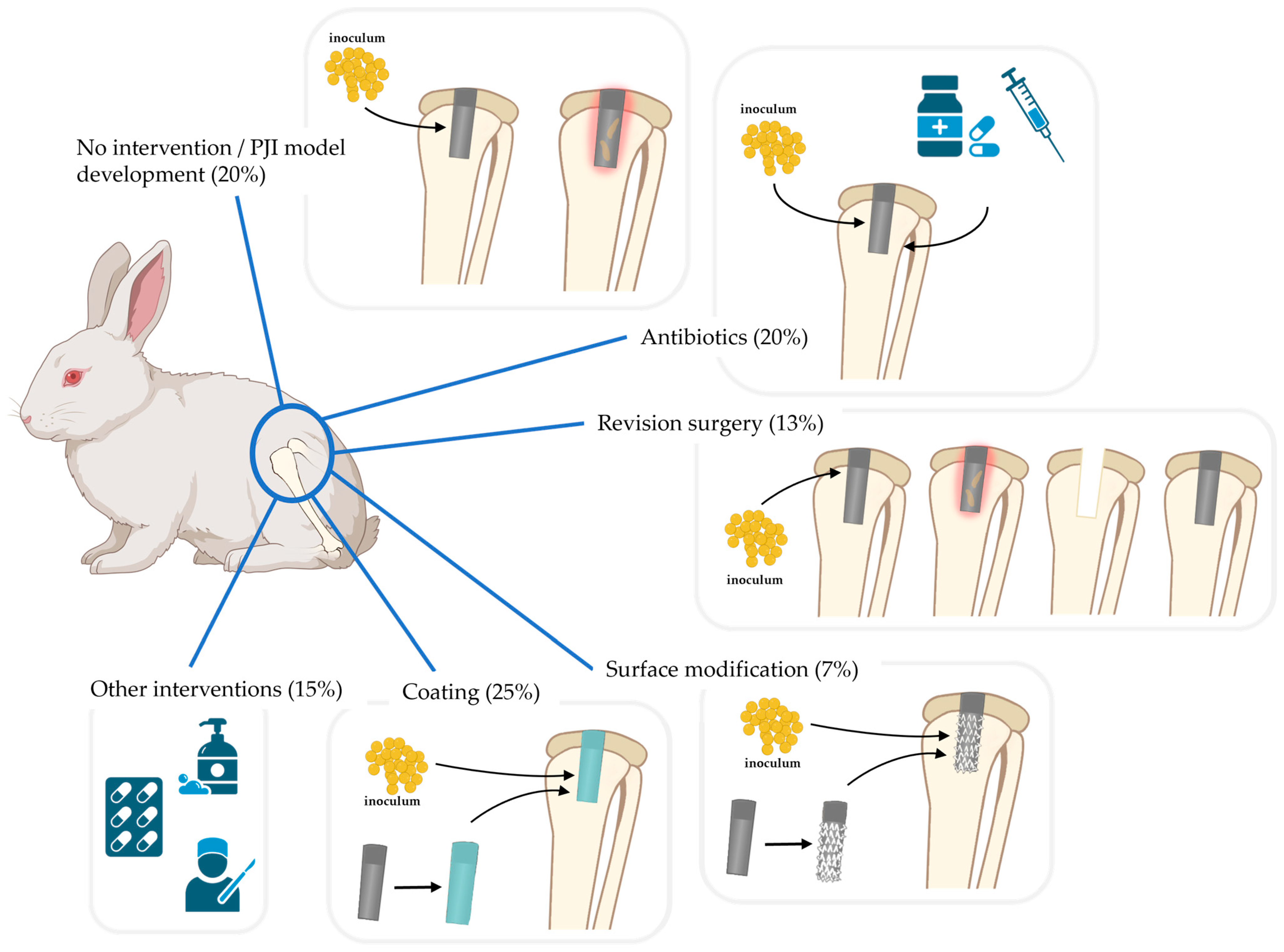 Jfb 15 00307 g002 Jfb 15 00307 g002