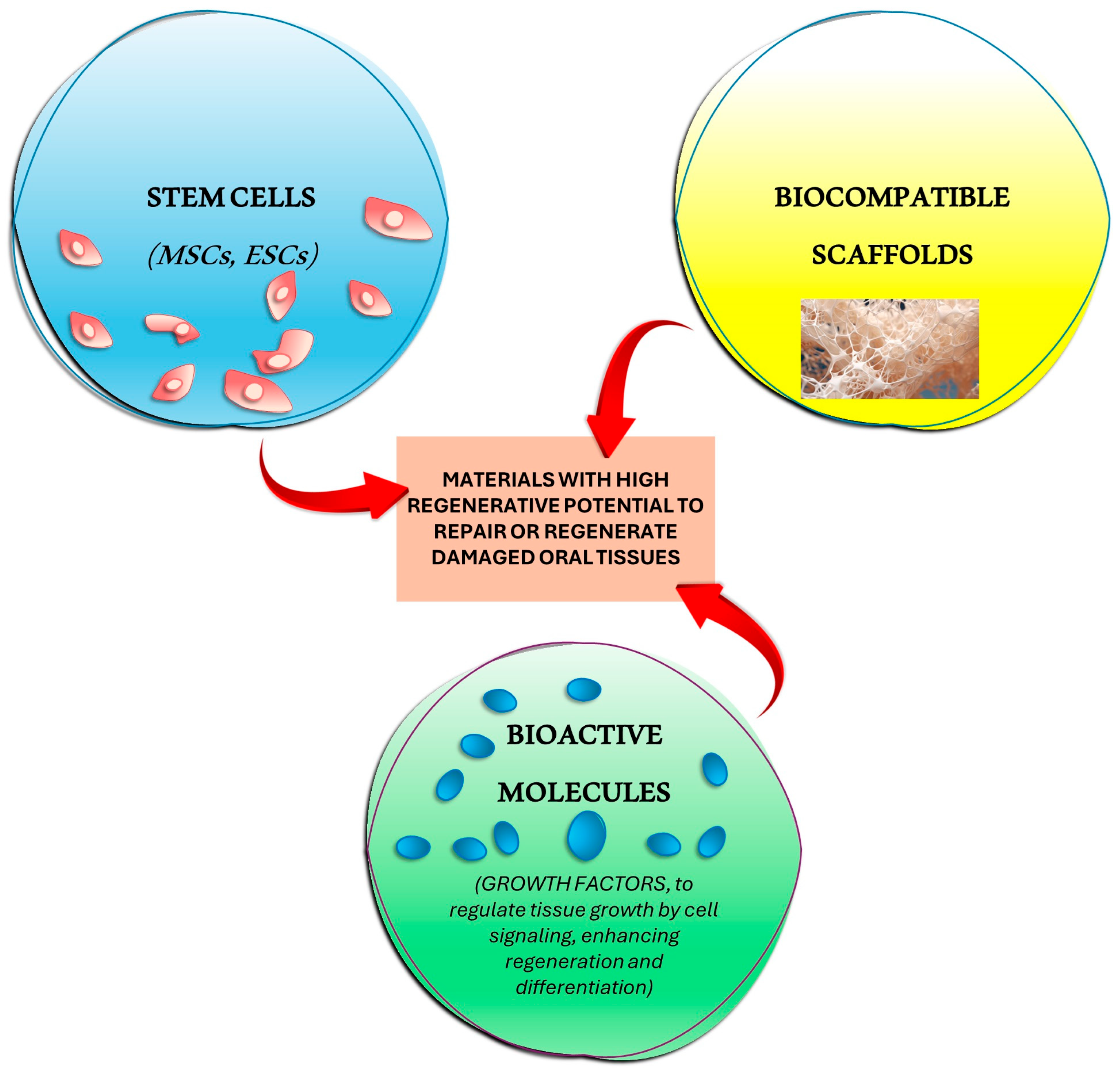 Jfb 15 00308 g004 Jfb 15 00308 g004