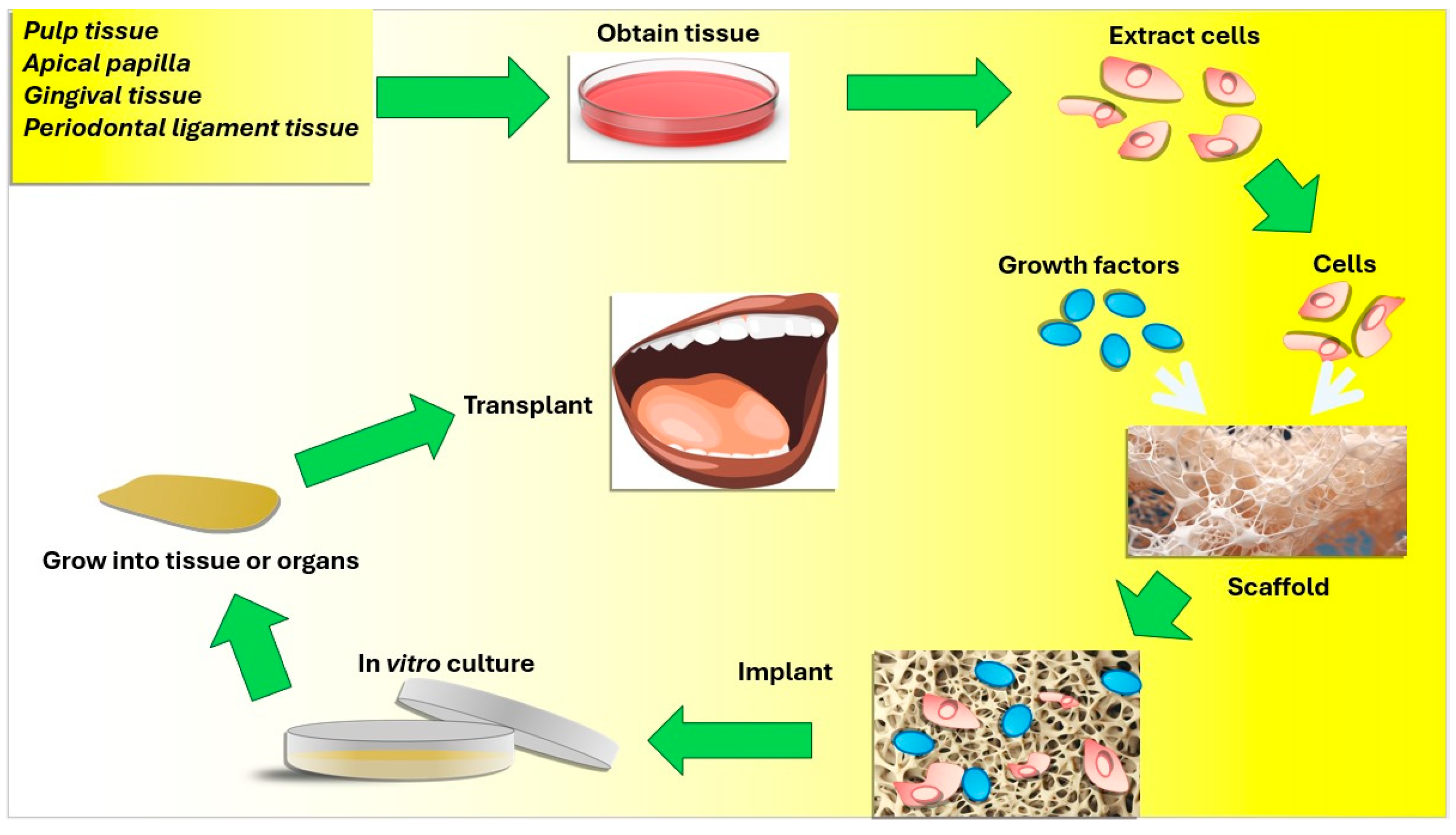 Jfb 15 00308 g005 Jfb 15 00308 g005
