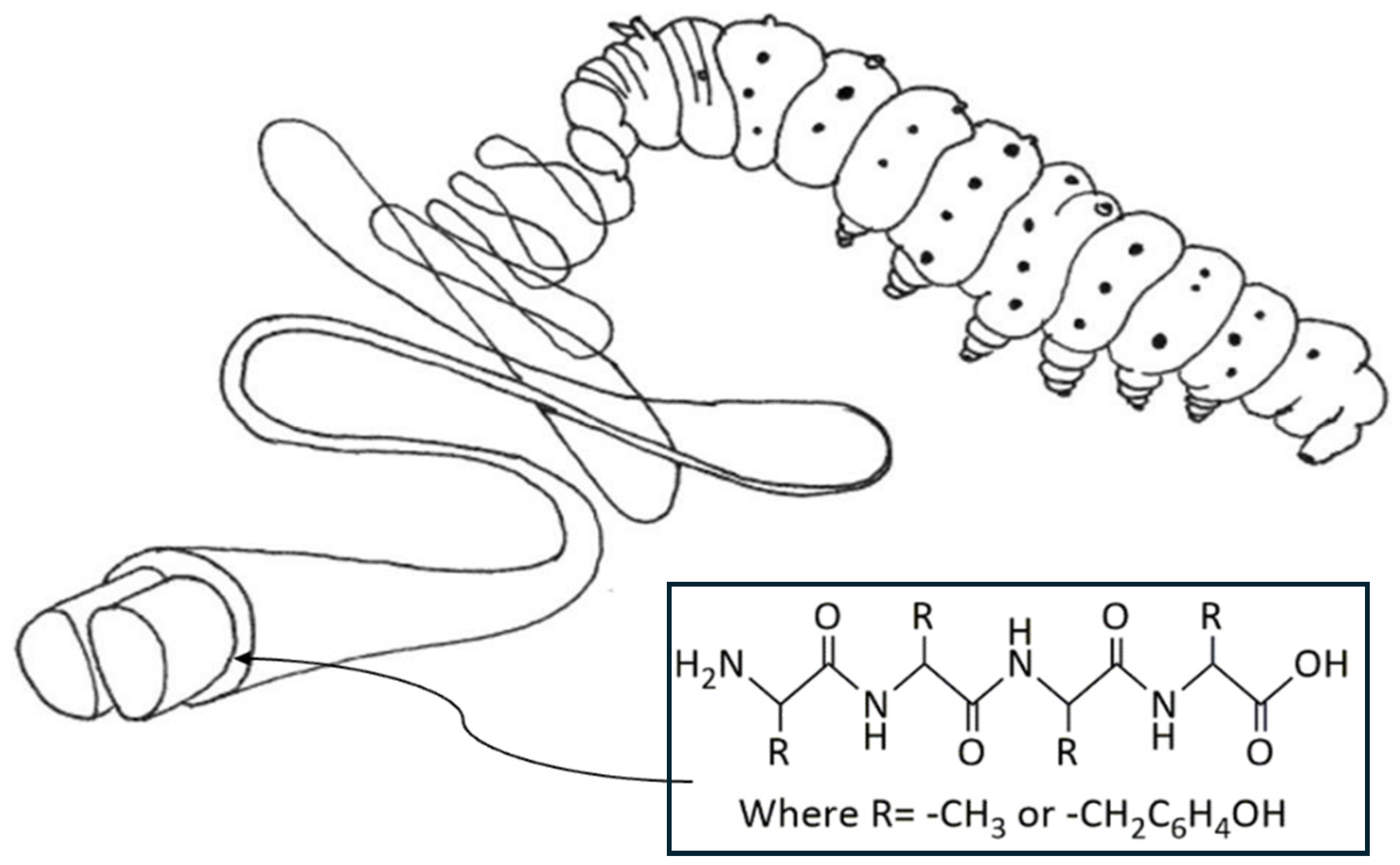 Jfb 15 00322 g003 Jfb 15 00322 g003