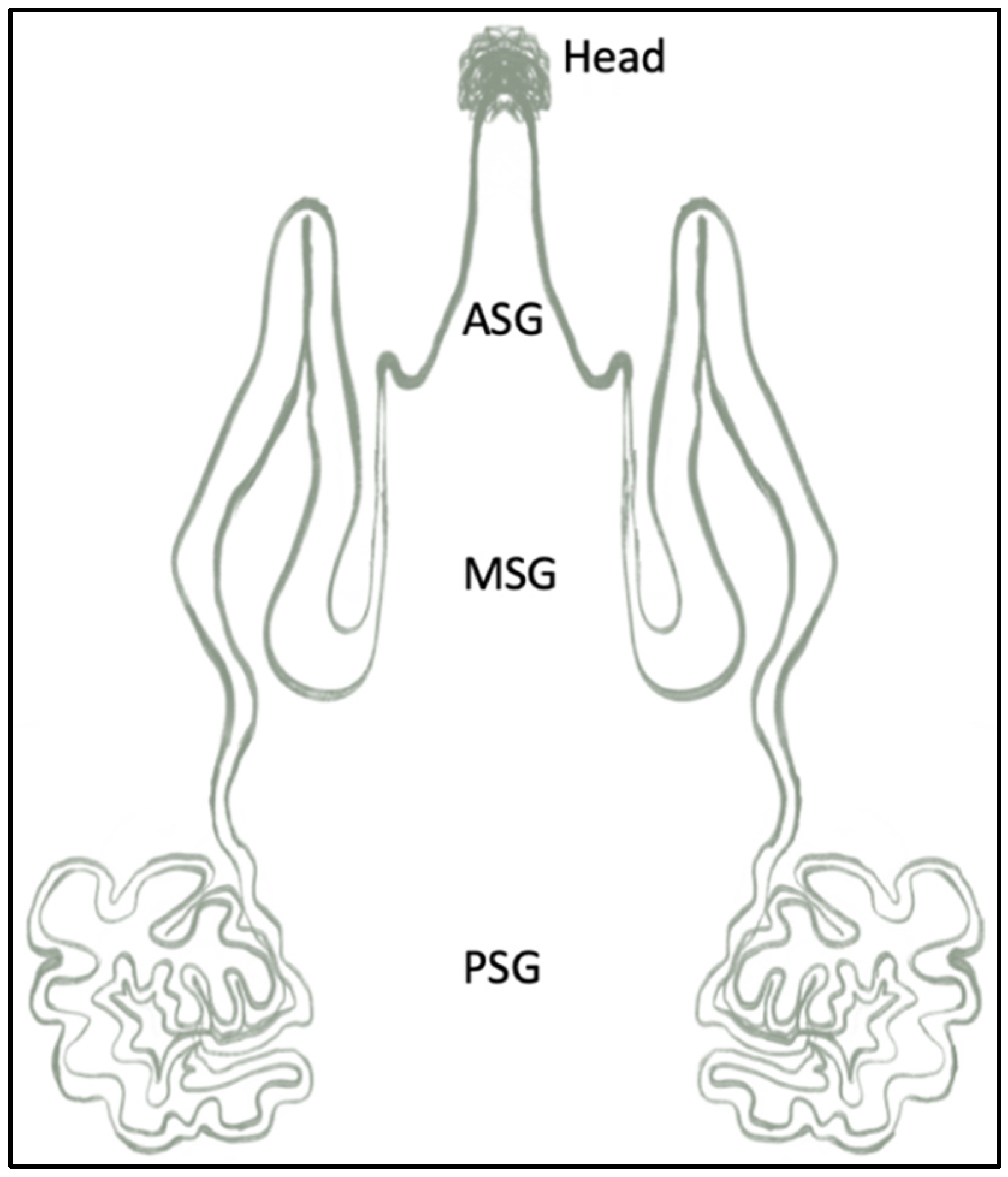 Jfb 15 00322 g004 Jfb 15 00322 g004