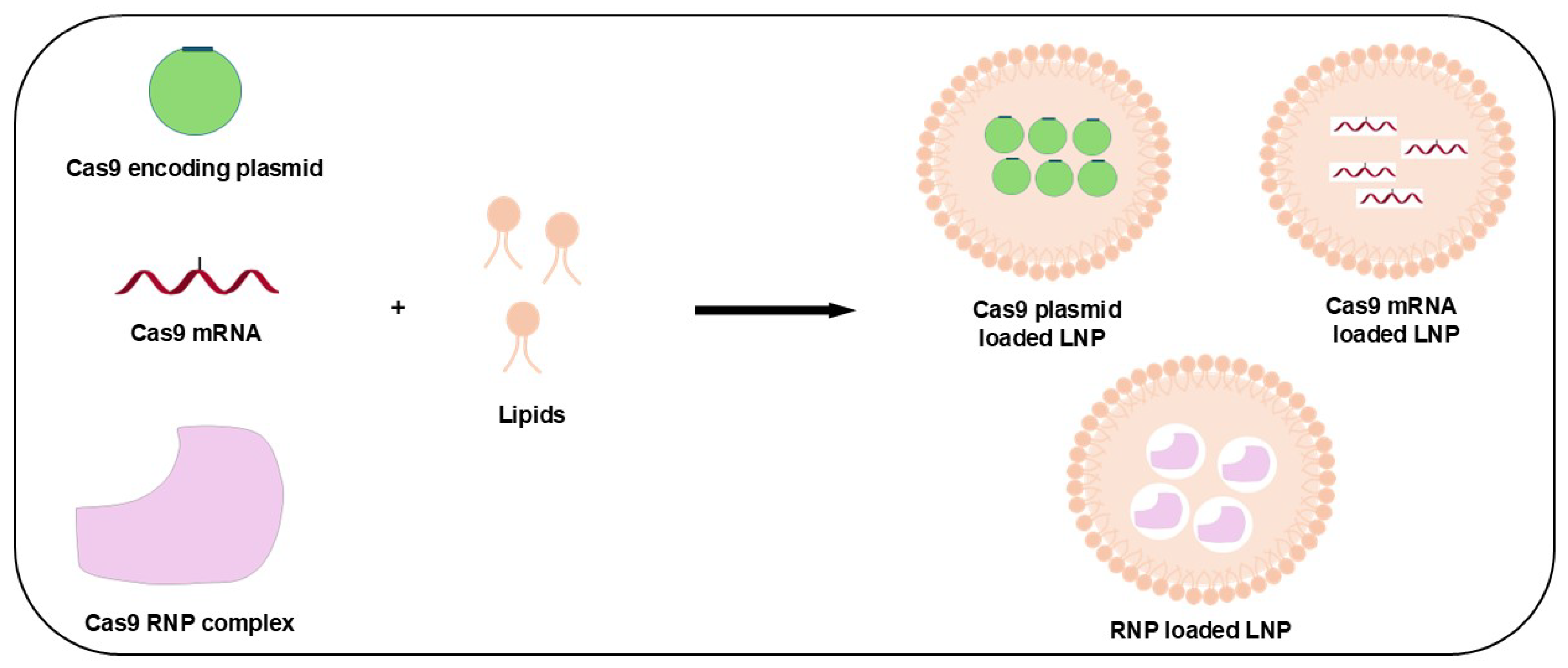 Jfb 15 00324 g003 Jfb 15 00324 g003