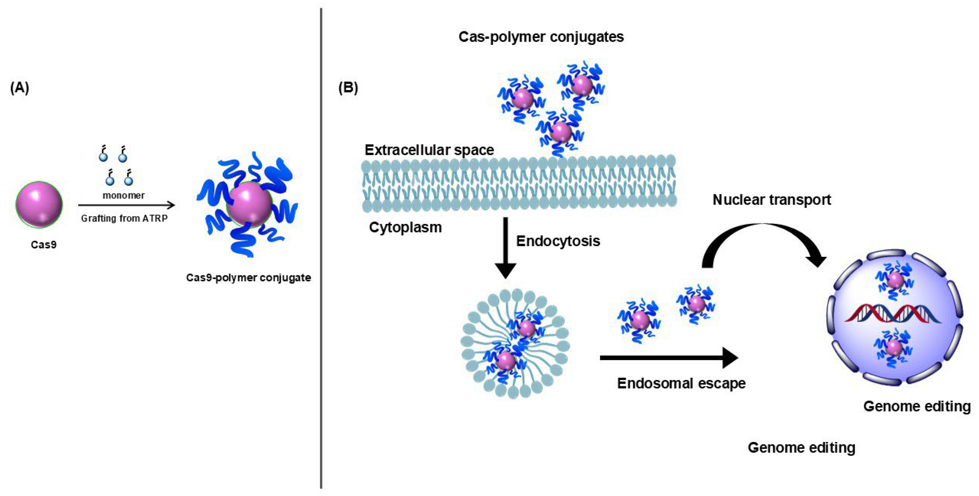 Jfb 15 00324 g004 Jfb 15 00324 g004