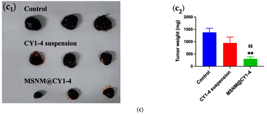 Improving the Anti-Tumor Effect of Indoleamine 2,3-Dioxygenase