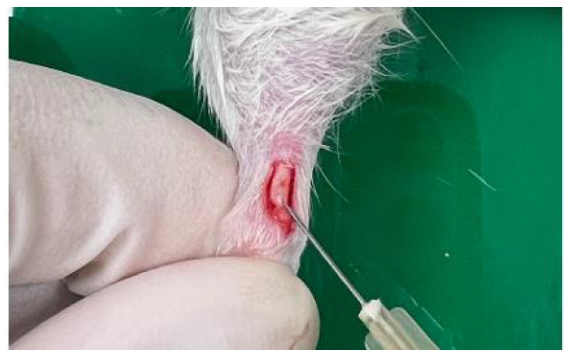 Jfb 16 00055 g001 Jfb 16 00055 g001