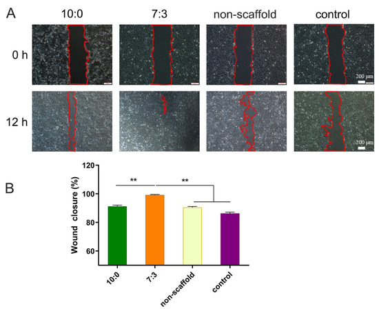 Electrospun Silk Fibroin–Silk Sericin Scaffolds Induced