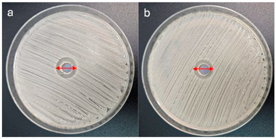 Antibacterial and Antibiofilm Activity of Layers Enriched with Silver ...