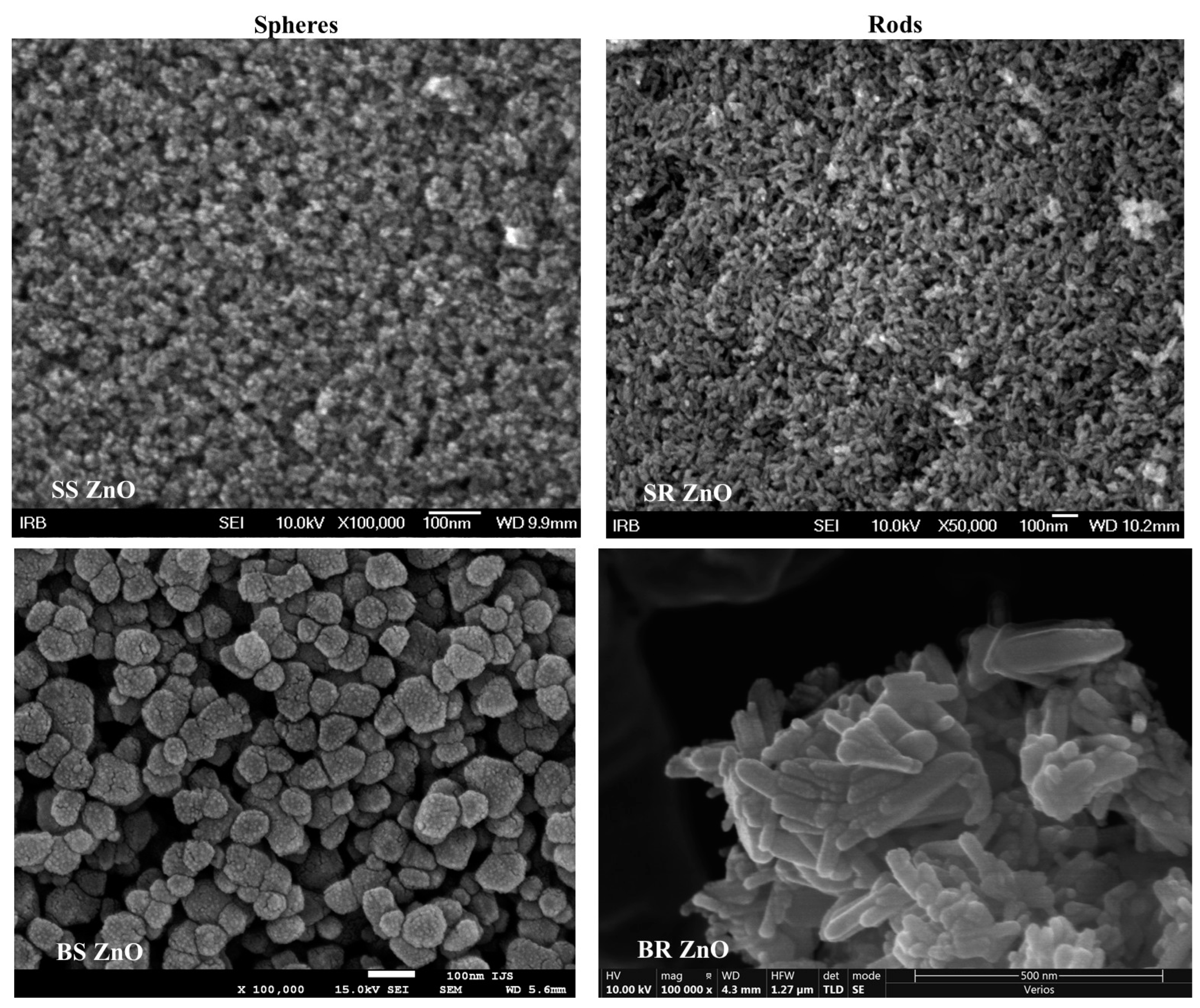 Jfb 16 00108 g001 Jfb 16 00108 g001