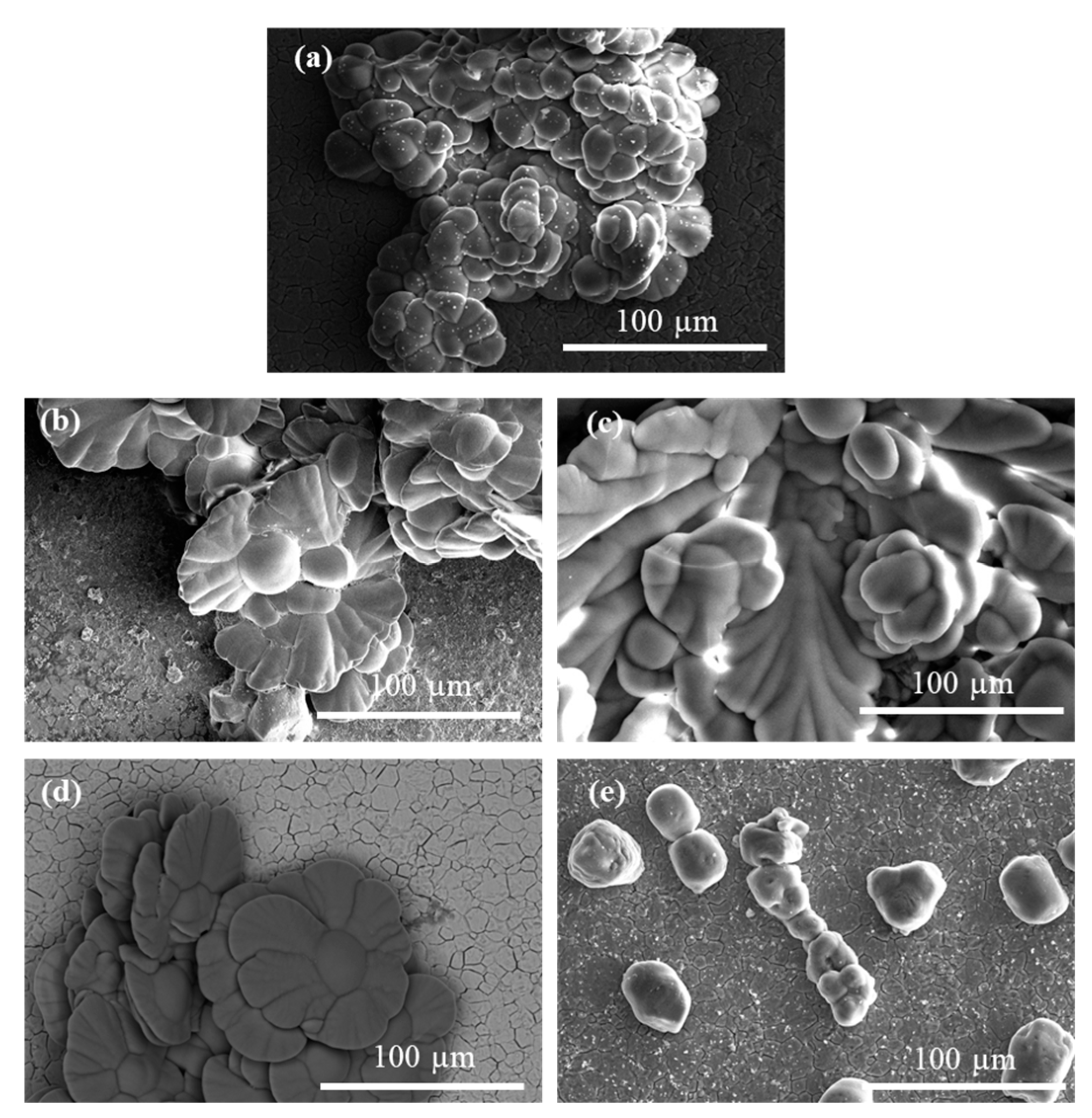 Jfb 16 00108 g004 Jfb 16 00108 g004