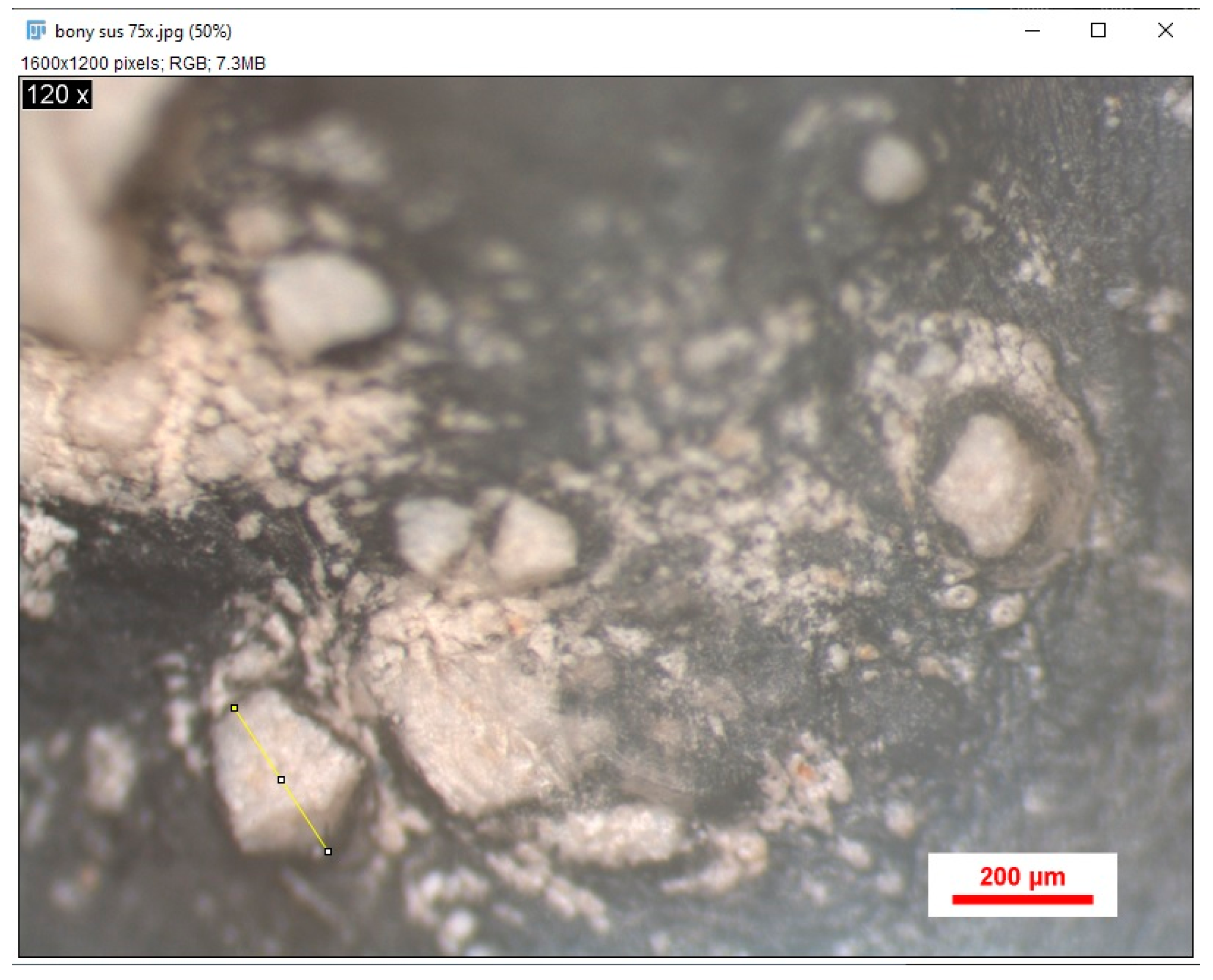 Jfb 16 00146 g006 Jfb 16 00146 g006