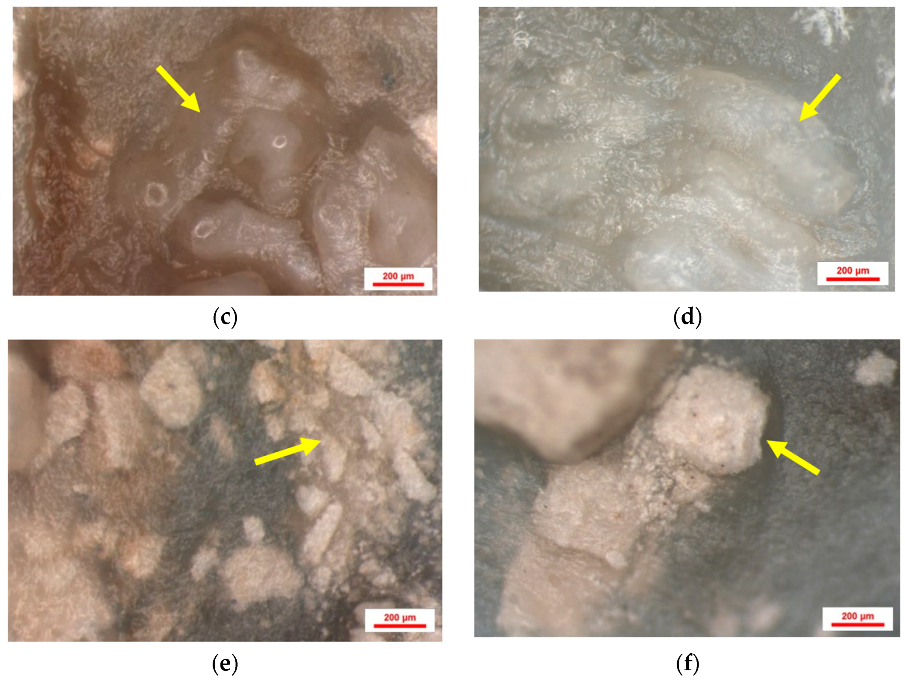 Jfb 16 00146 g009b Jfb 16 00146 g009b