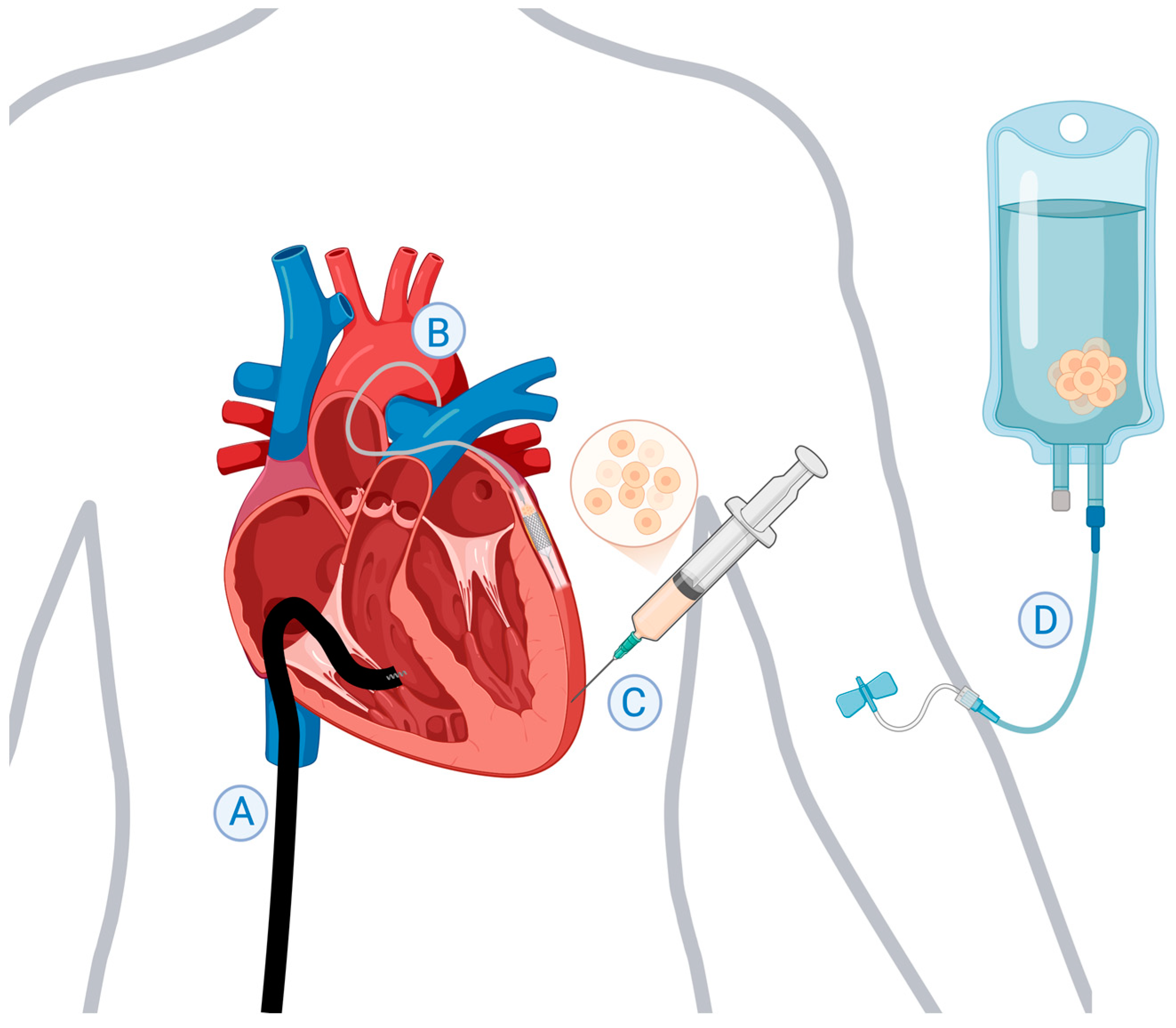 Jfb 16 00152 g001 Jfb 16 00152 g001