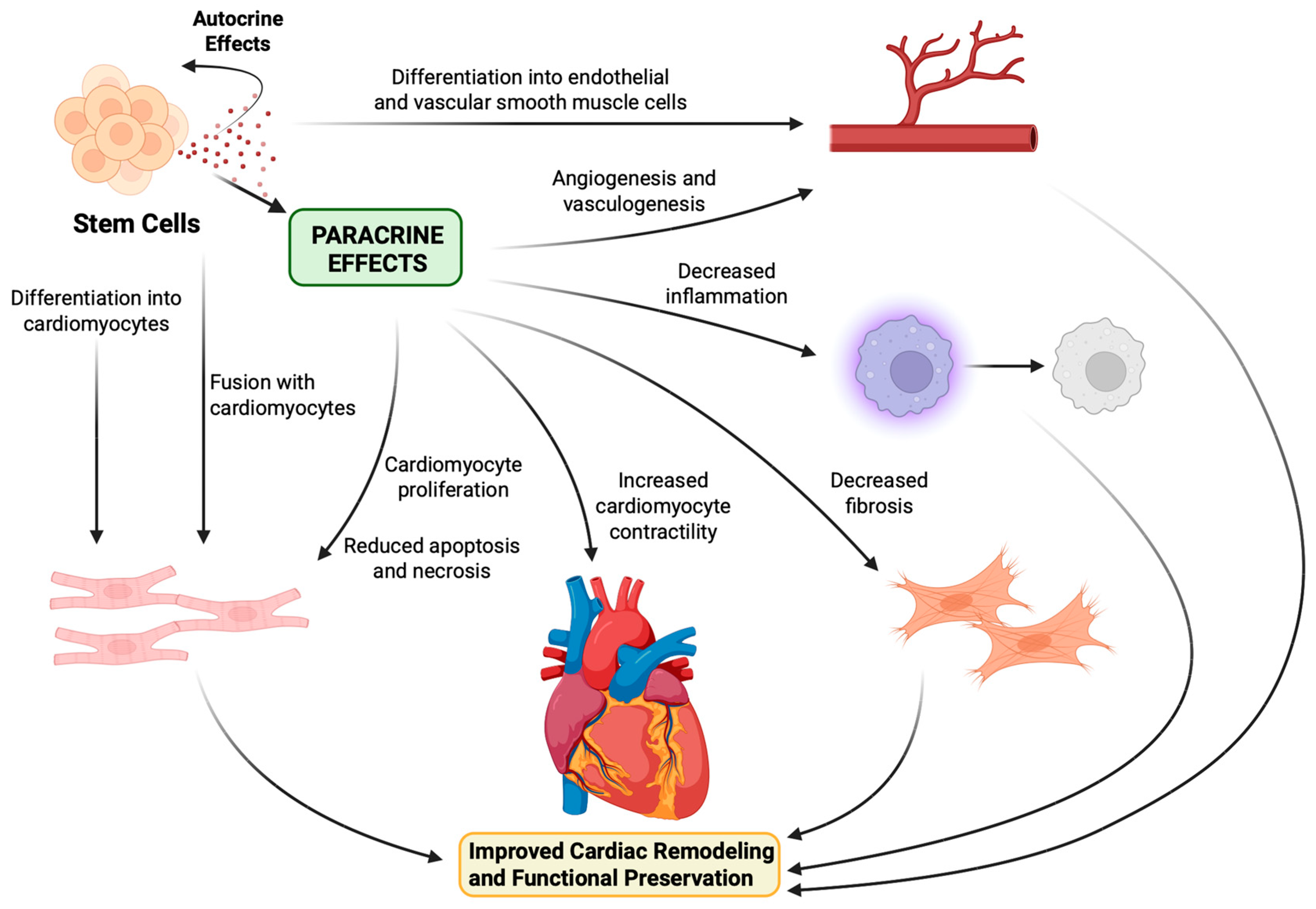 Jfb 16 00152 g003 Jfb 16 00152 g003