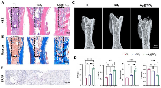 テスト Enhancing the bioactivity and ductility of bulk metallic