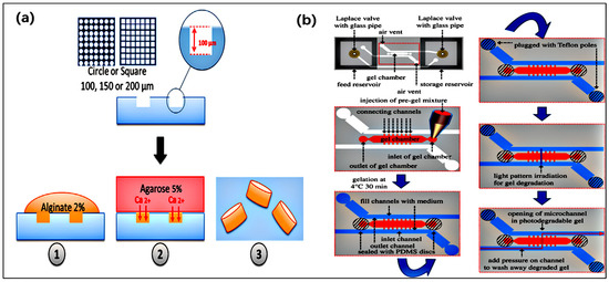 Emerging Trends in Microfluidic Biomaterials: From Functional Design to ...