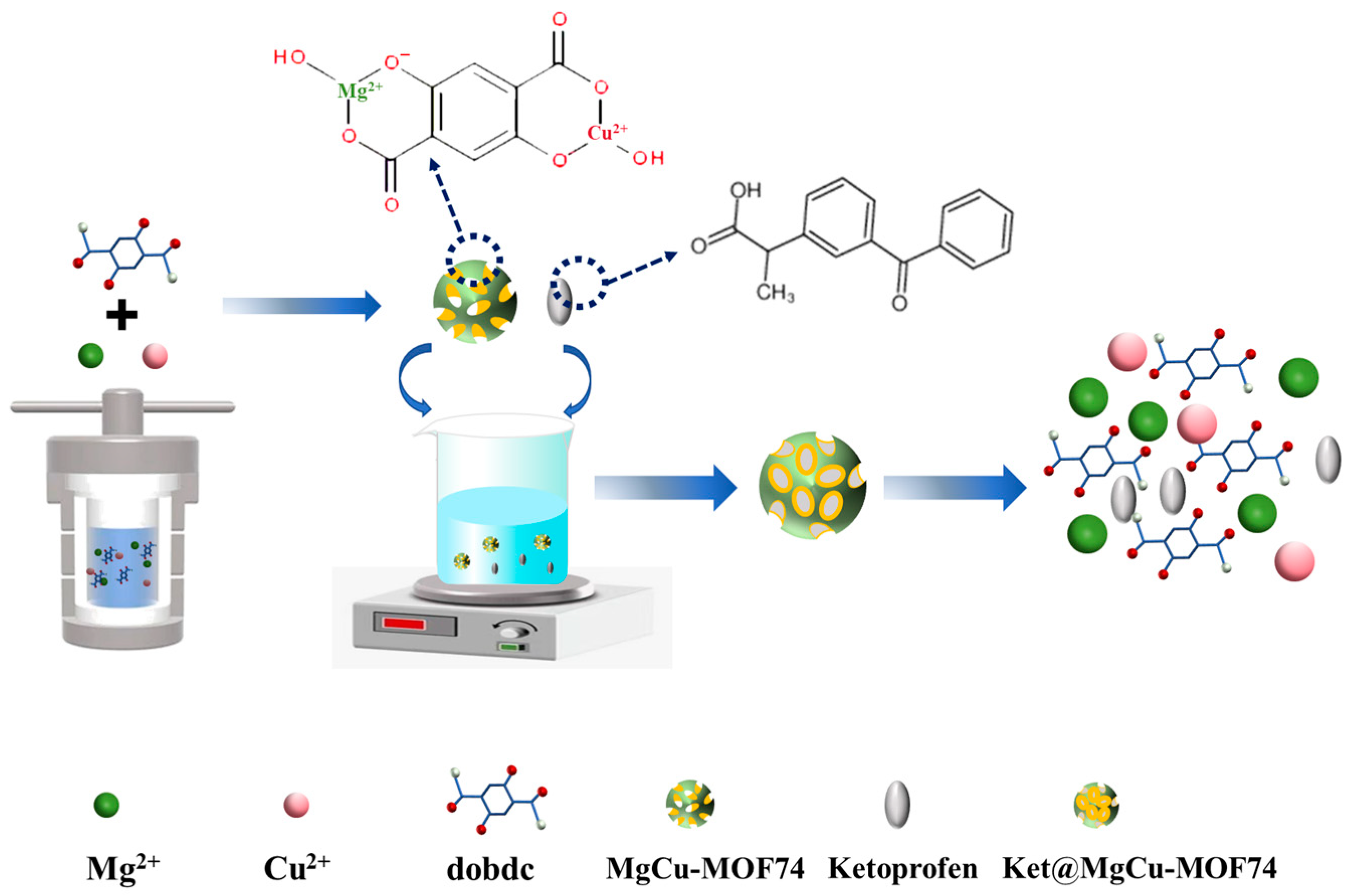 Jfb 16 00222 g001 Jfb 16 00222 g001