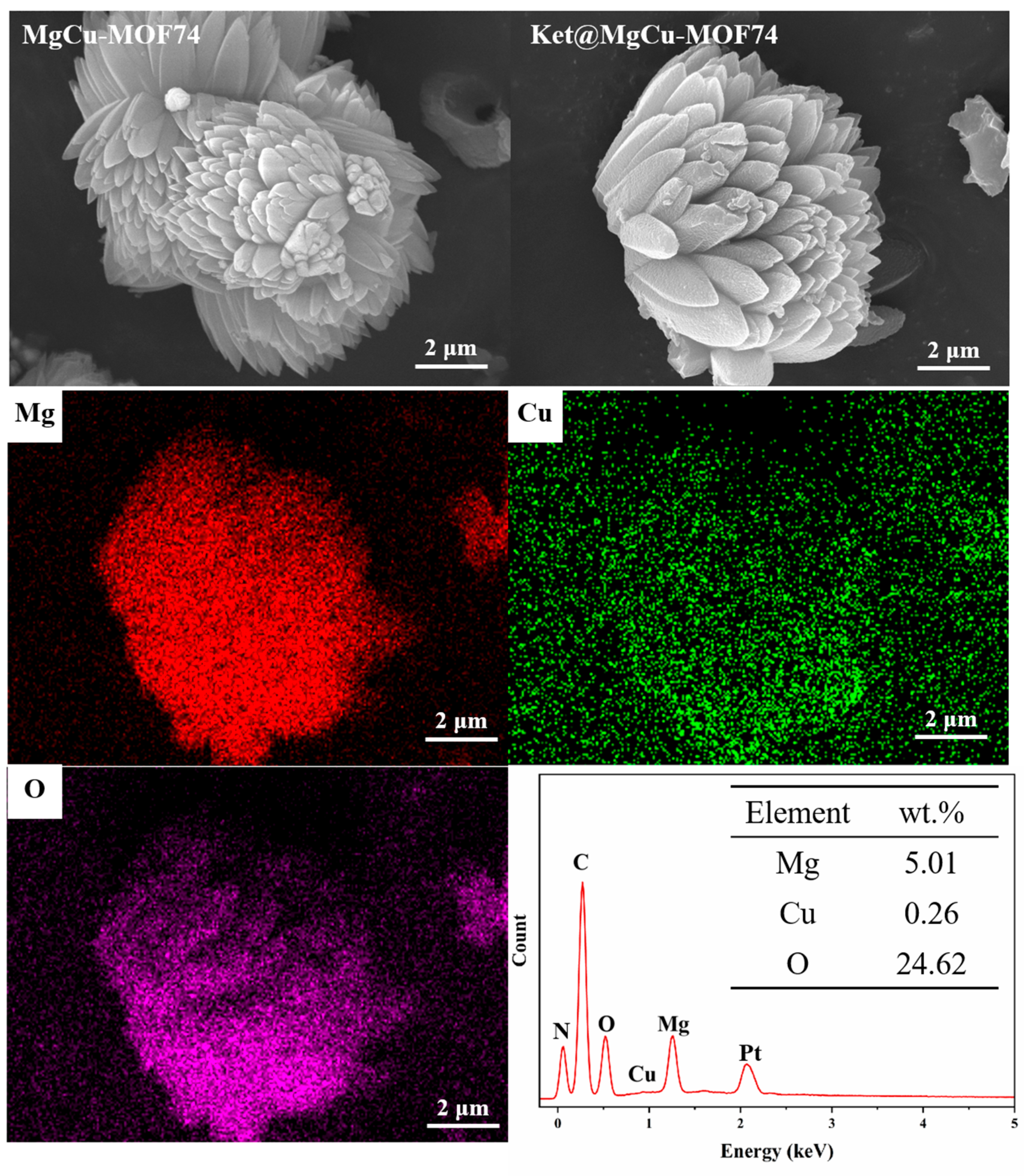 Jfb 16 00222 g002 Jfb 16 00222 g002