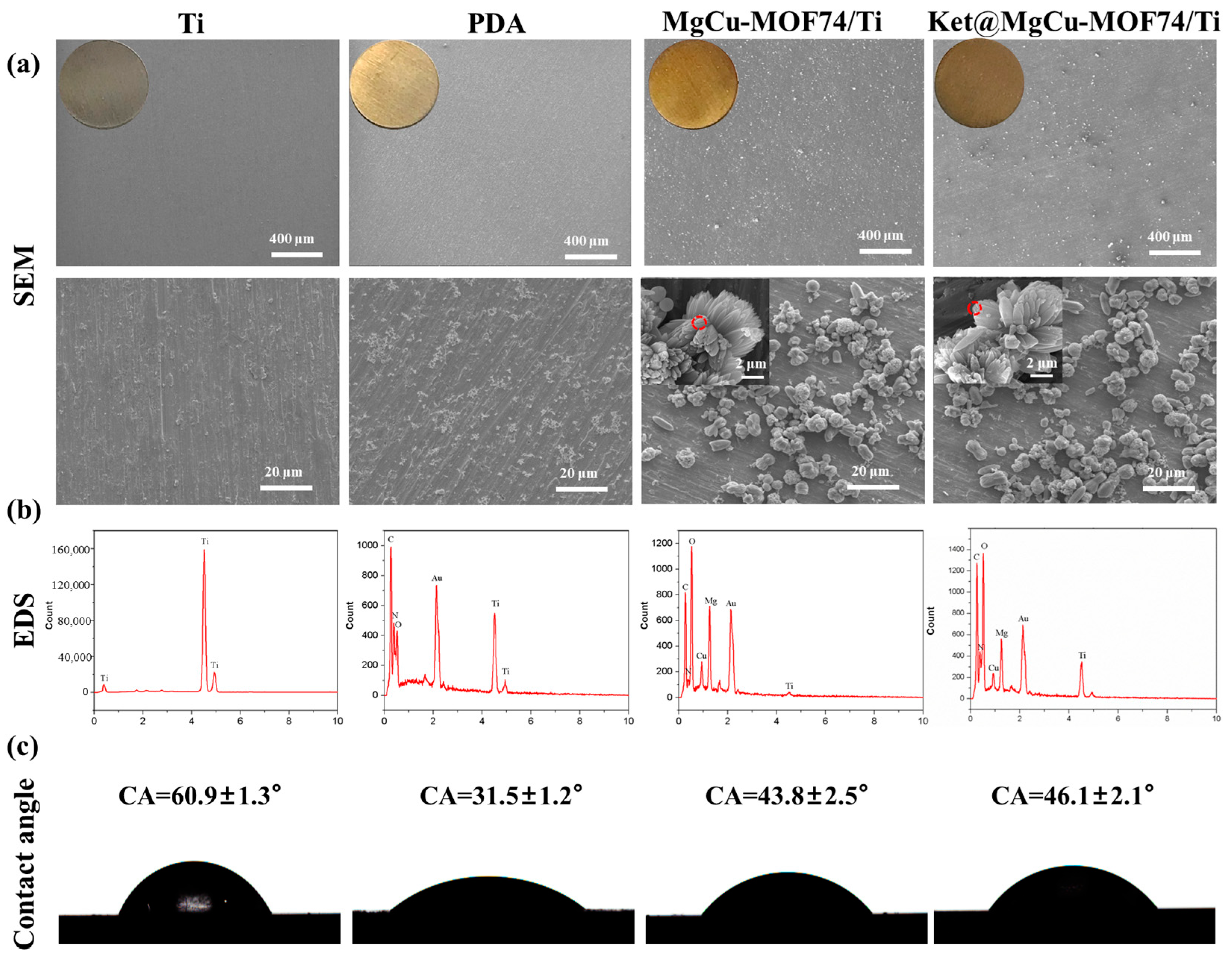 Jfb 16 00222 g004 Jfb 16 00222 g004