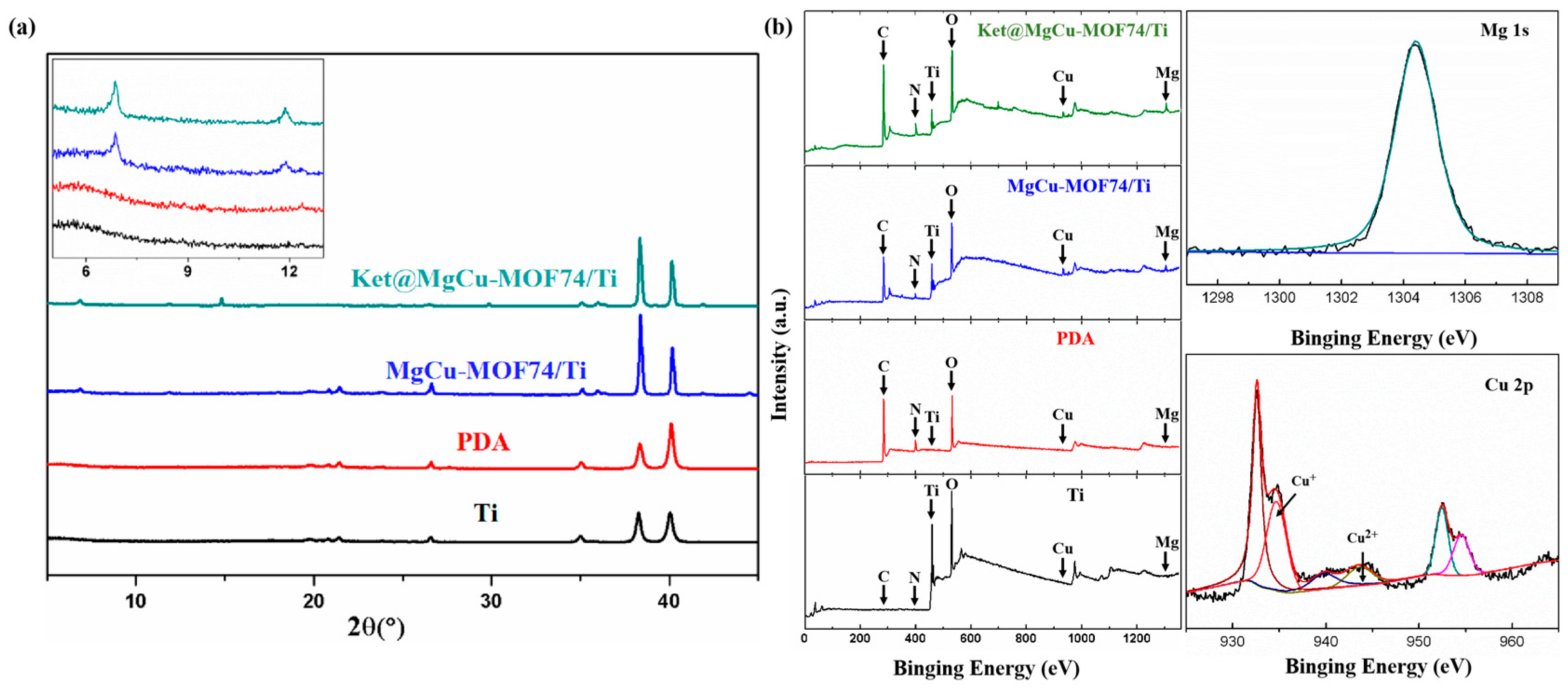 Jfb 16 00222 g005 Jfb 16 00222 g005