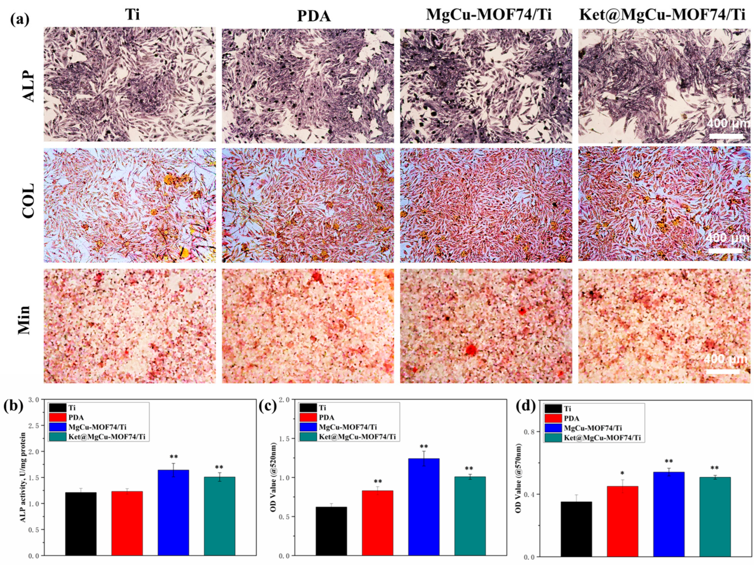 Jfb 16 00222 g008 Jfb 16 00222 g008
