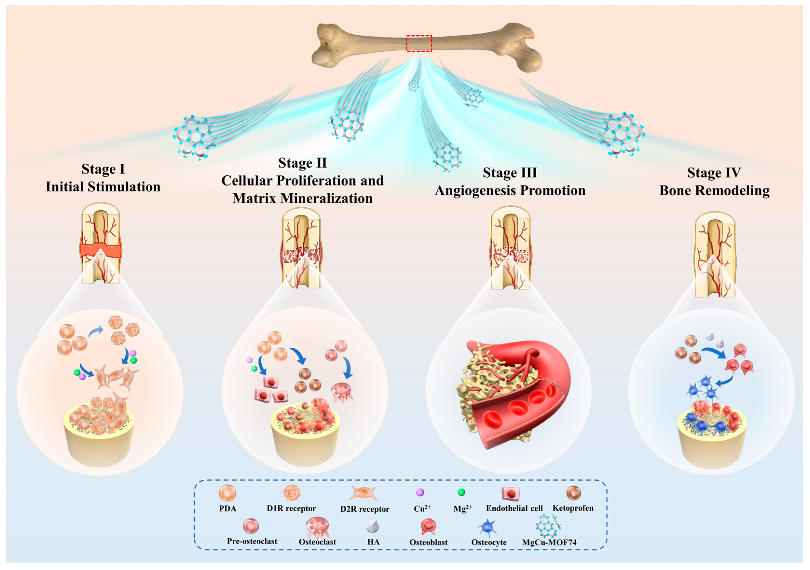 Jfb 16 00222 g009 Jfb 16 00222 g009