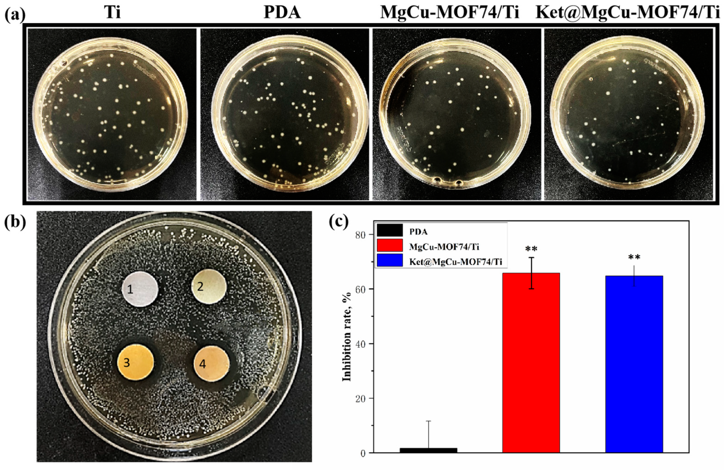 Jfb 16 00222 g010 Jfb 16 00222 g010