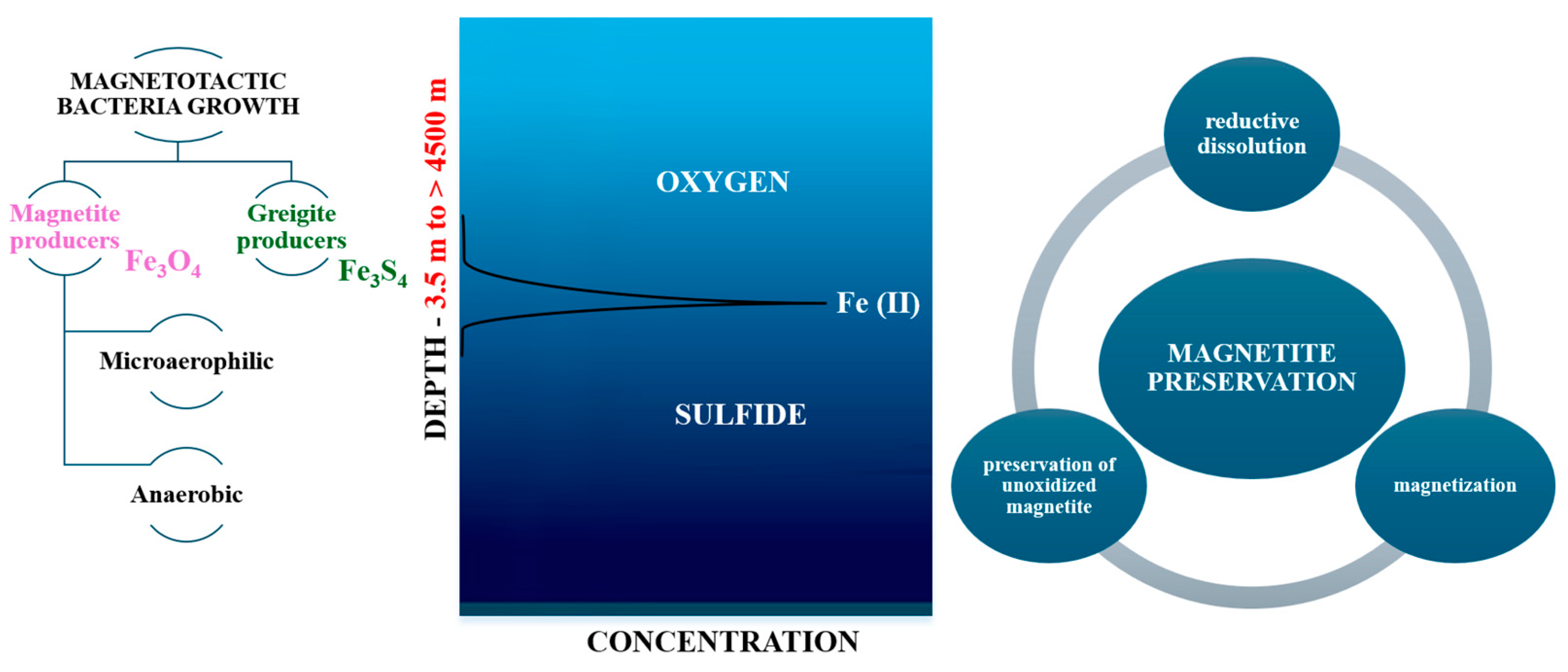 Jfb 16 00231 g002 Jfb 16 00231 g002
