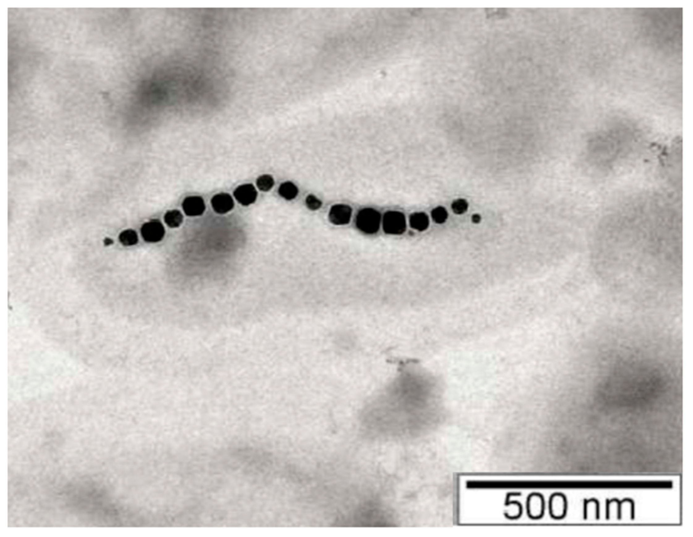 Jfb 16 00231 g008 Jfb 16 00231 g008