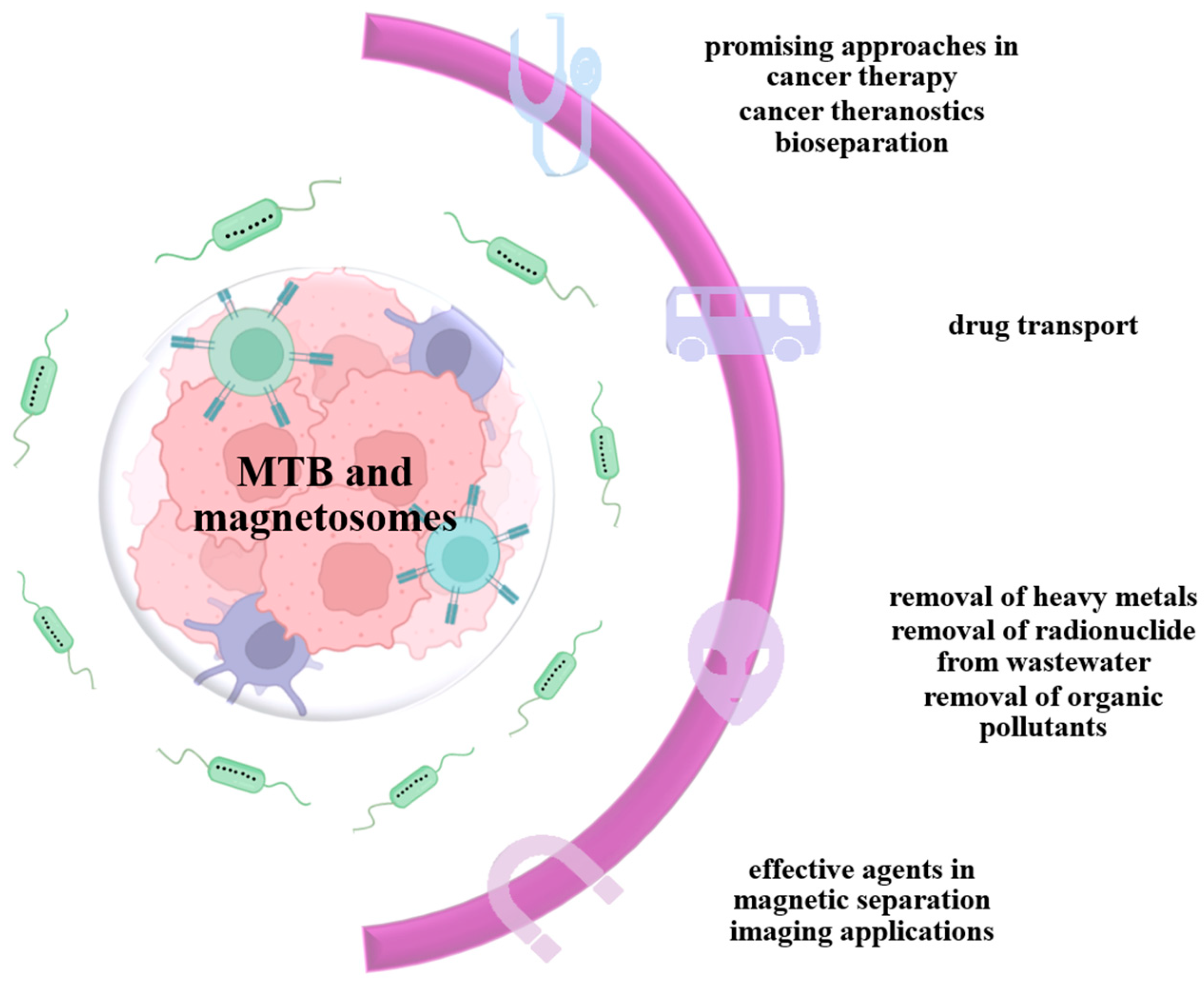 Jfb 16 00231 g011 Jfb 16 00231 g011