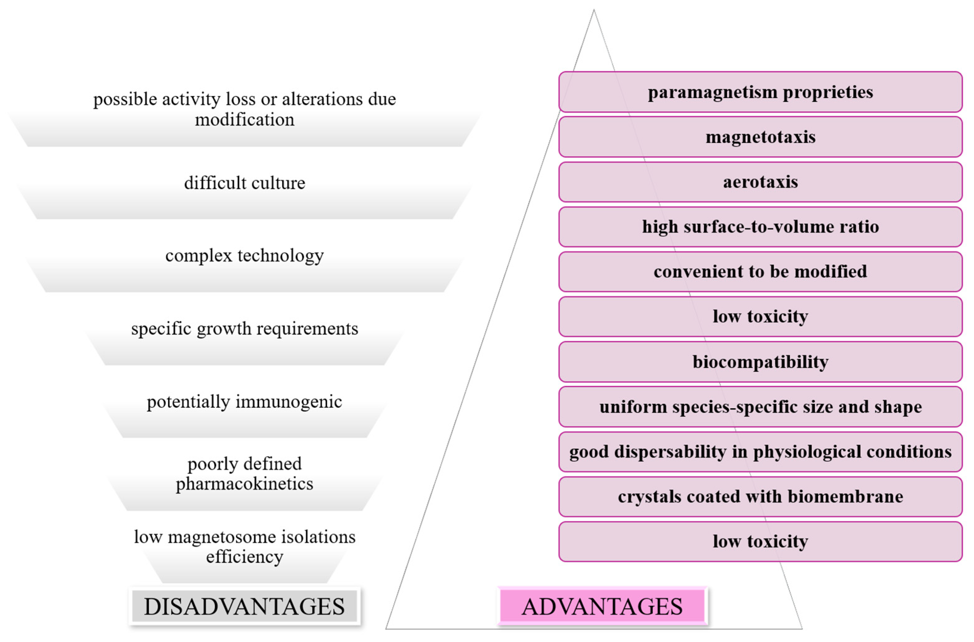 Jfb 16 00231 g013 Jfb 16 00231 g013
