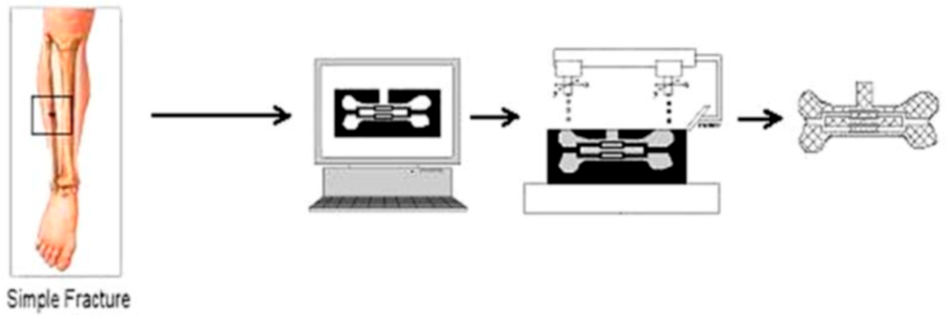 Jfb 16 00232 g001 Jfb 16 00232 g001