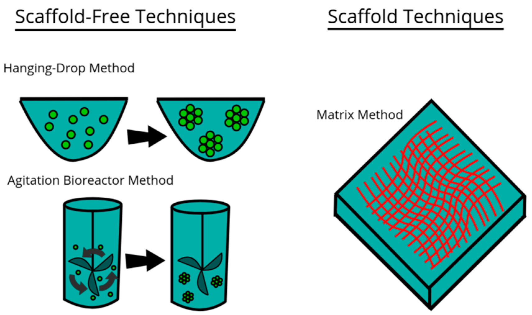 Jfb 16 00232 g002 Jfb 16 00232 g002