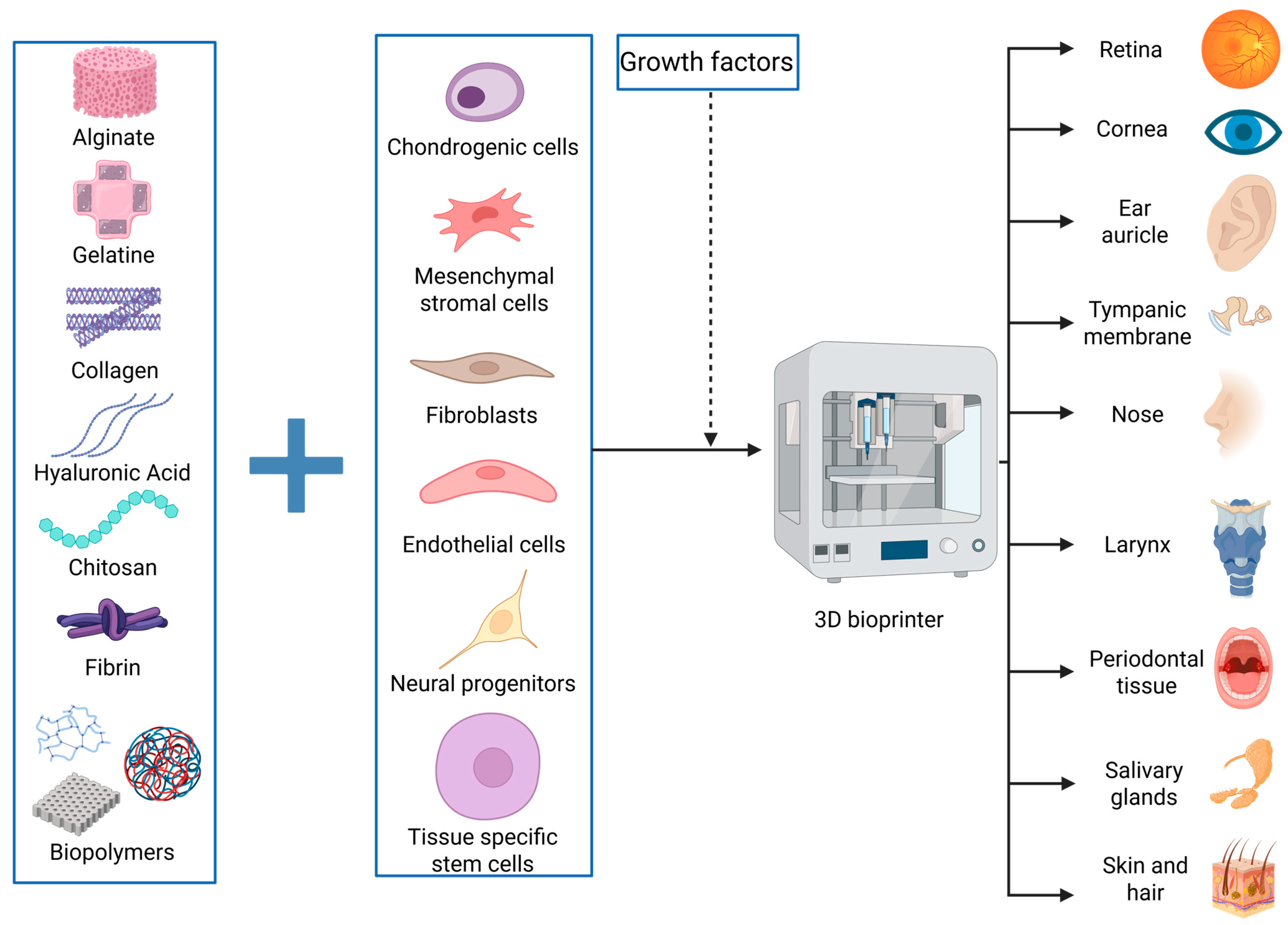 Jfb 16 00240 g001 Jfb 16 00240 g001