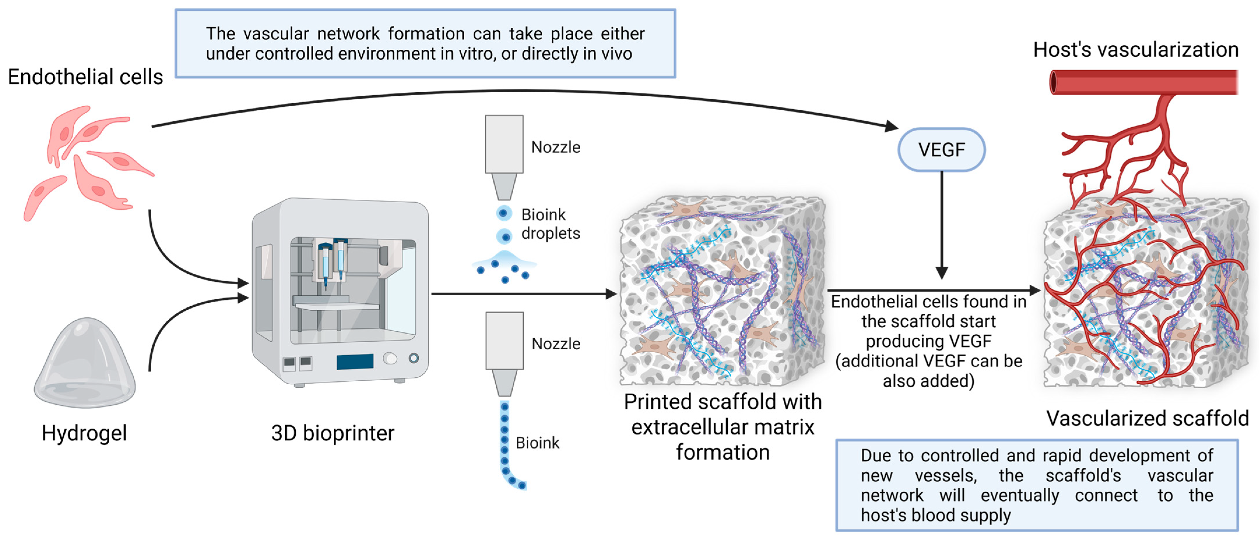 Jfb 16 00240 g004 Jfb 16 00240 g004