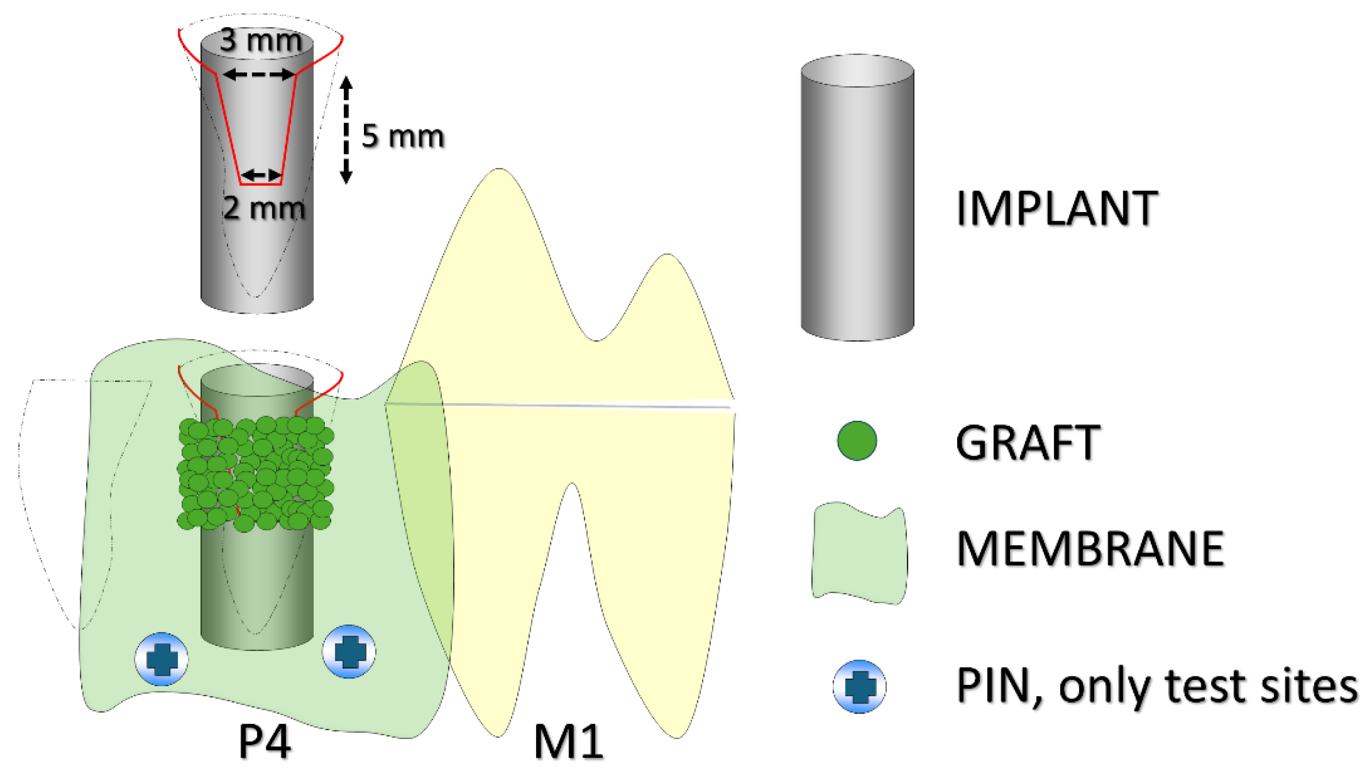 Jfb 16 00281 g001 Jfb 16 00281 g001