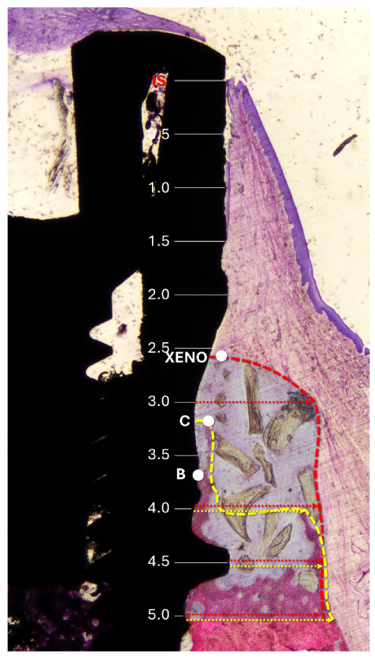 Jfb 16 00281 g003 Jfb 16 00281 g003